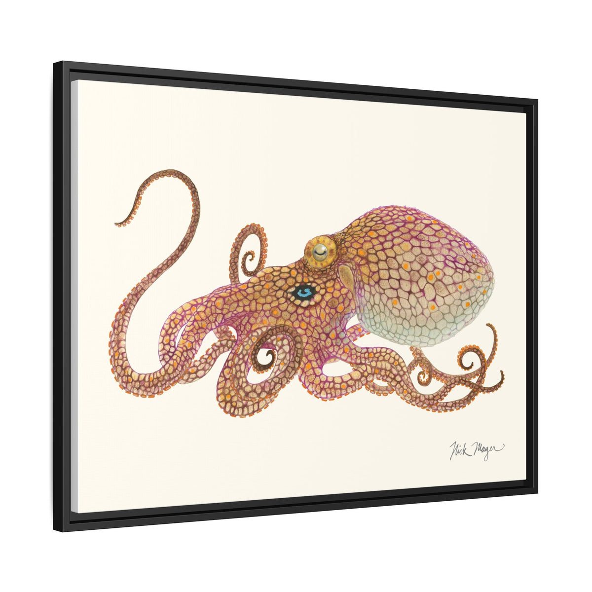 Two Spot Octopus Framed Canvas Print Printify