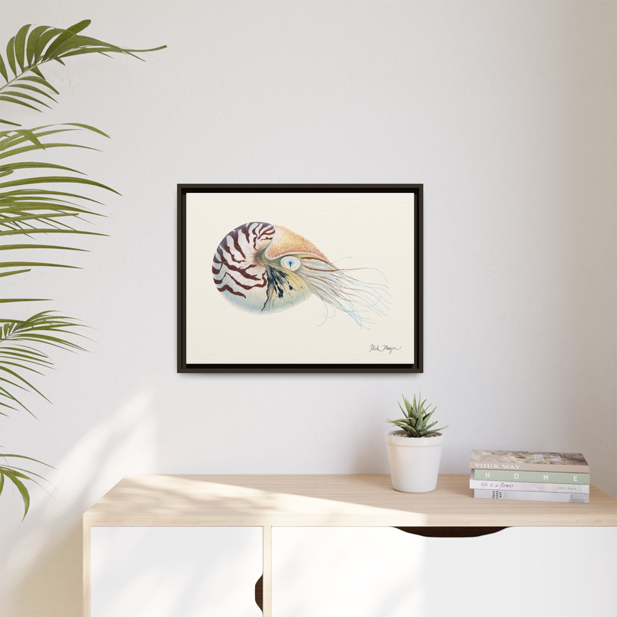 Chambered Nautilus Framed Canvas Print Printify