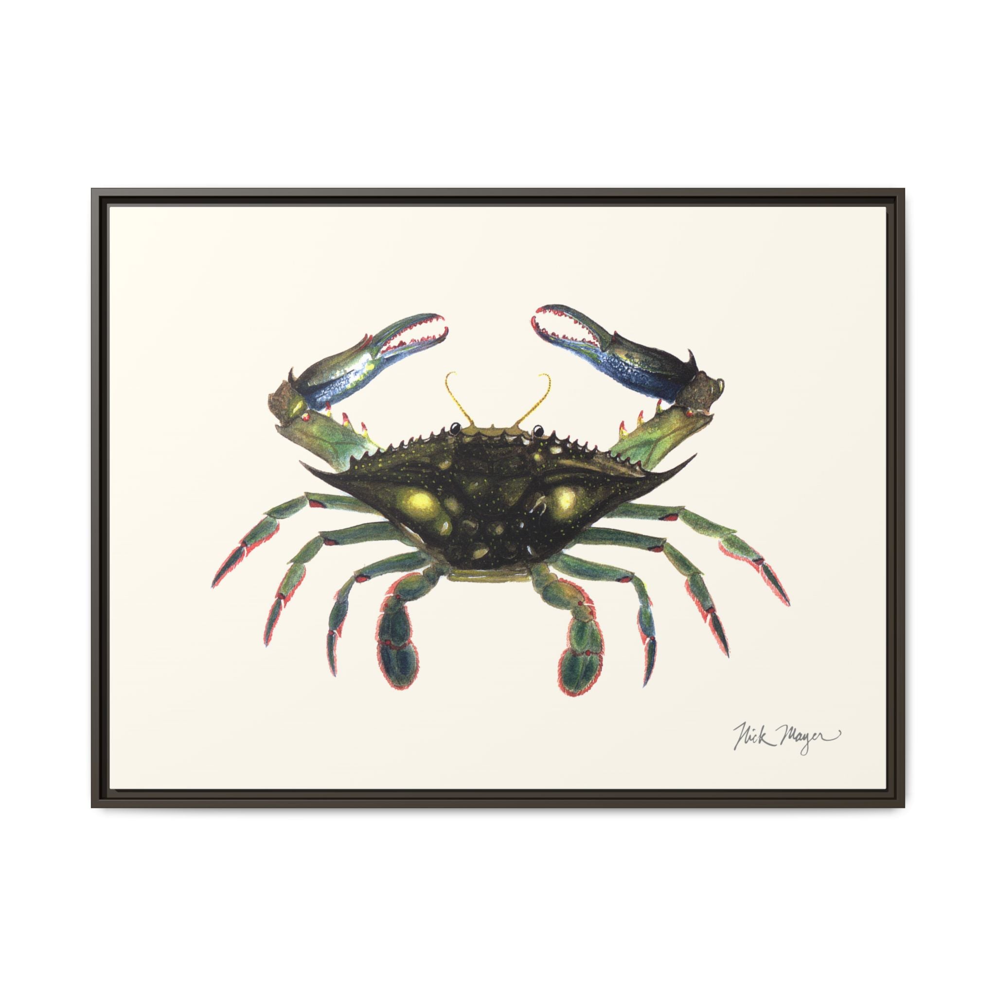 Blue Crab, Claws in Framed Canvas Print Printify