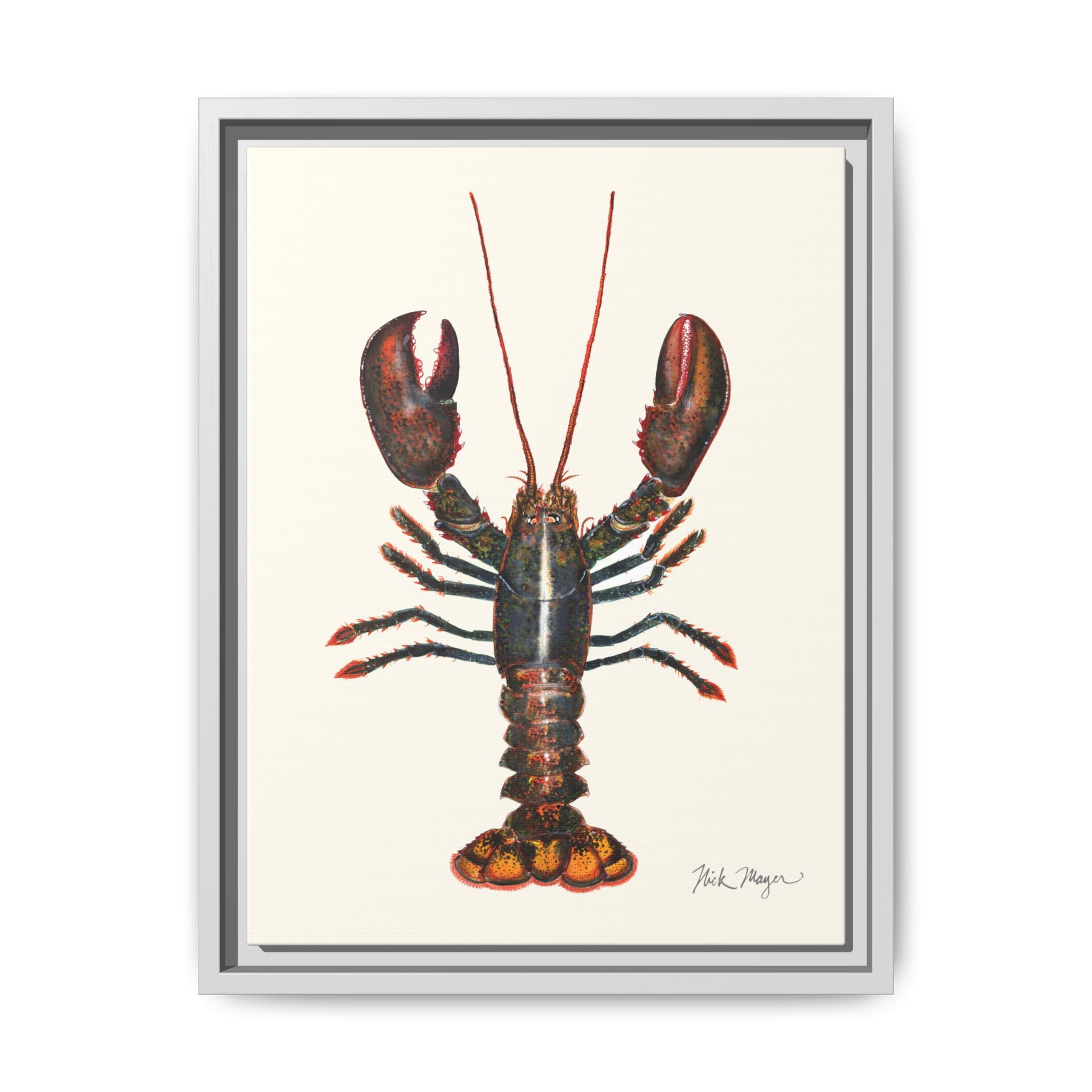 Northern Lobster Framed Canvas Print Printify
