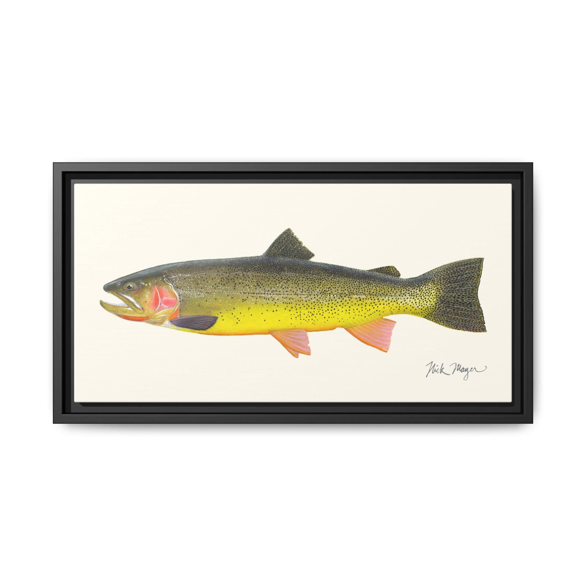 Cutthroat Trout III Framed Canvas Print Printify