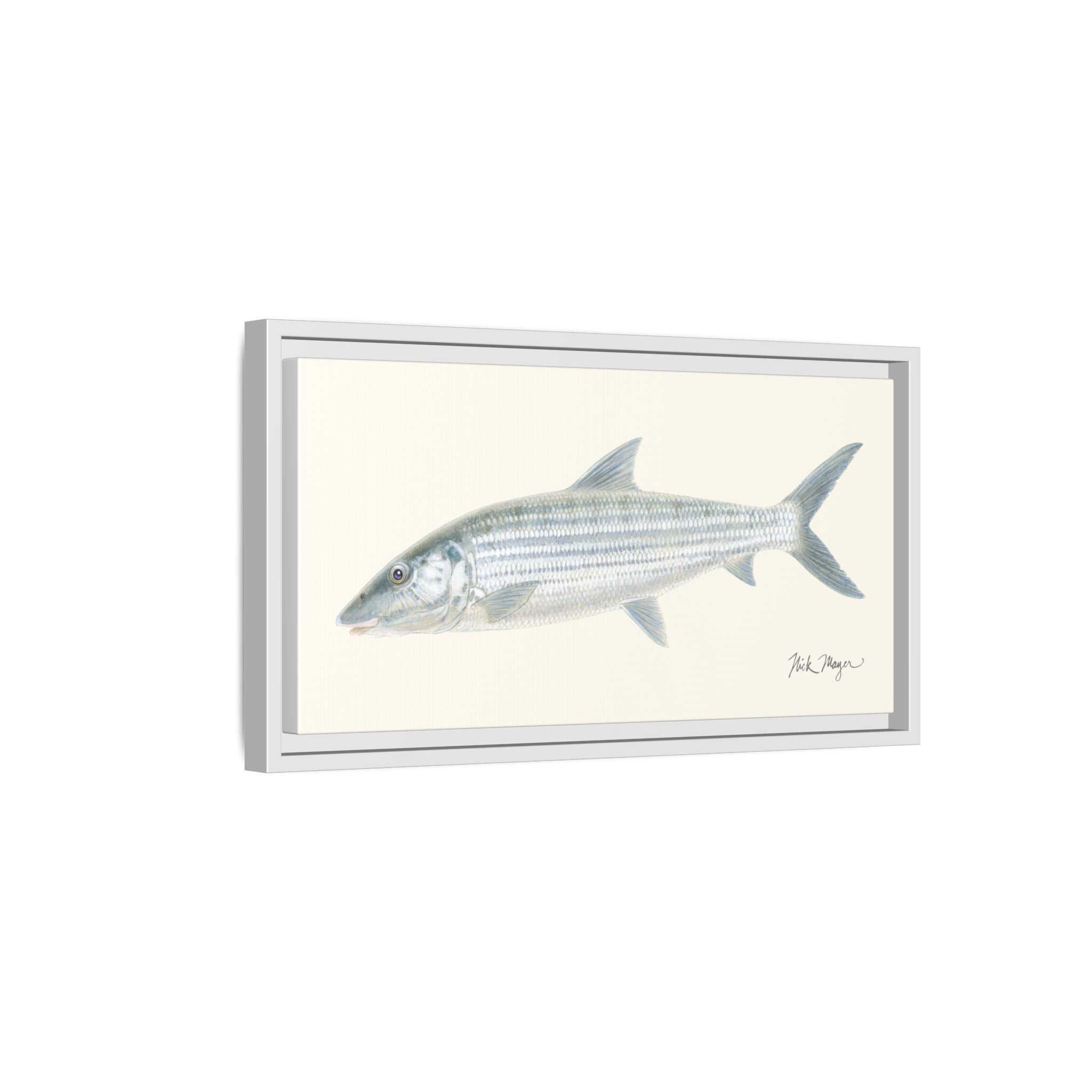 Bonefish Framed Canvas Print Printify