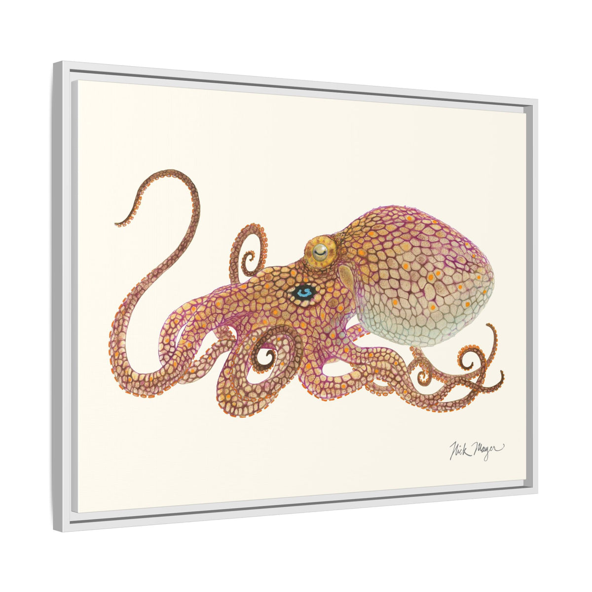 Two Spot Octopus Framed Canvas Print Printify
