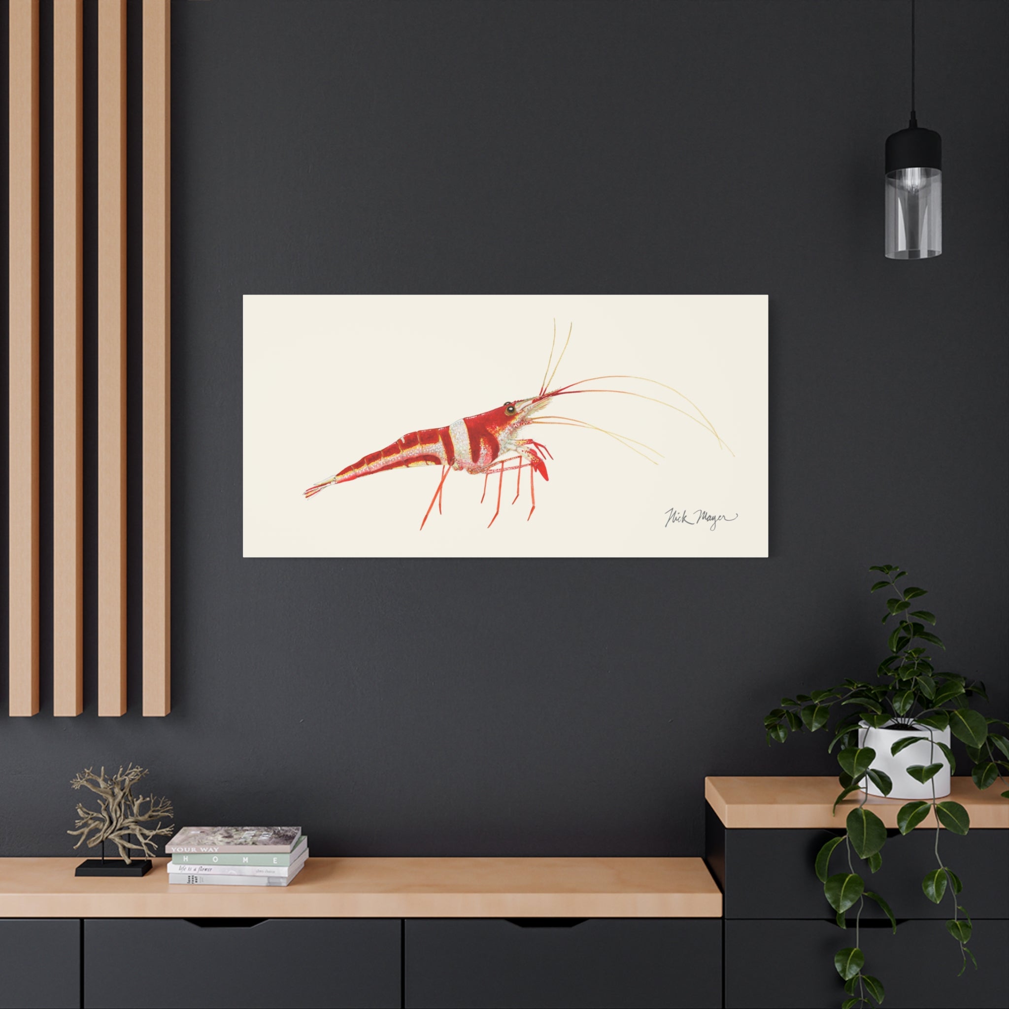 Sulawesi Harlequin Shrimp Canvas Print