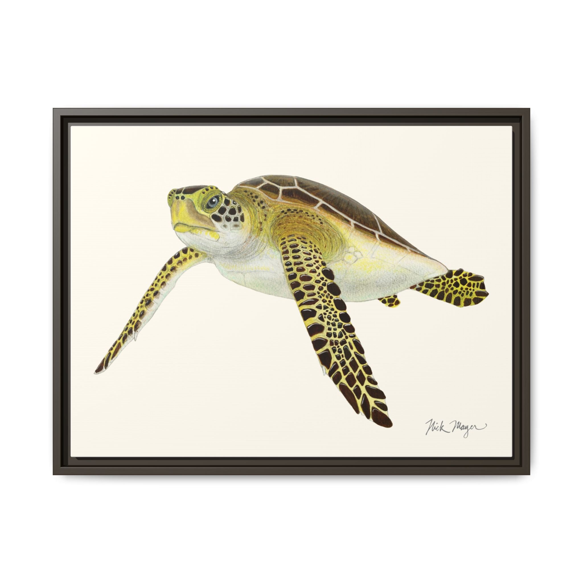 Green Sea Turtle III Framed Canvas Print Printify
