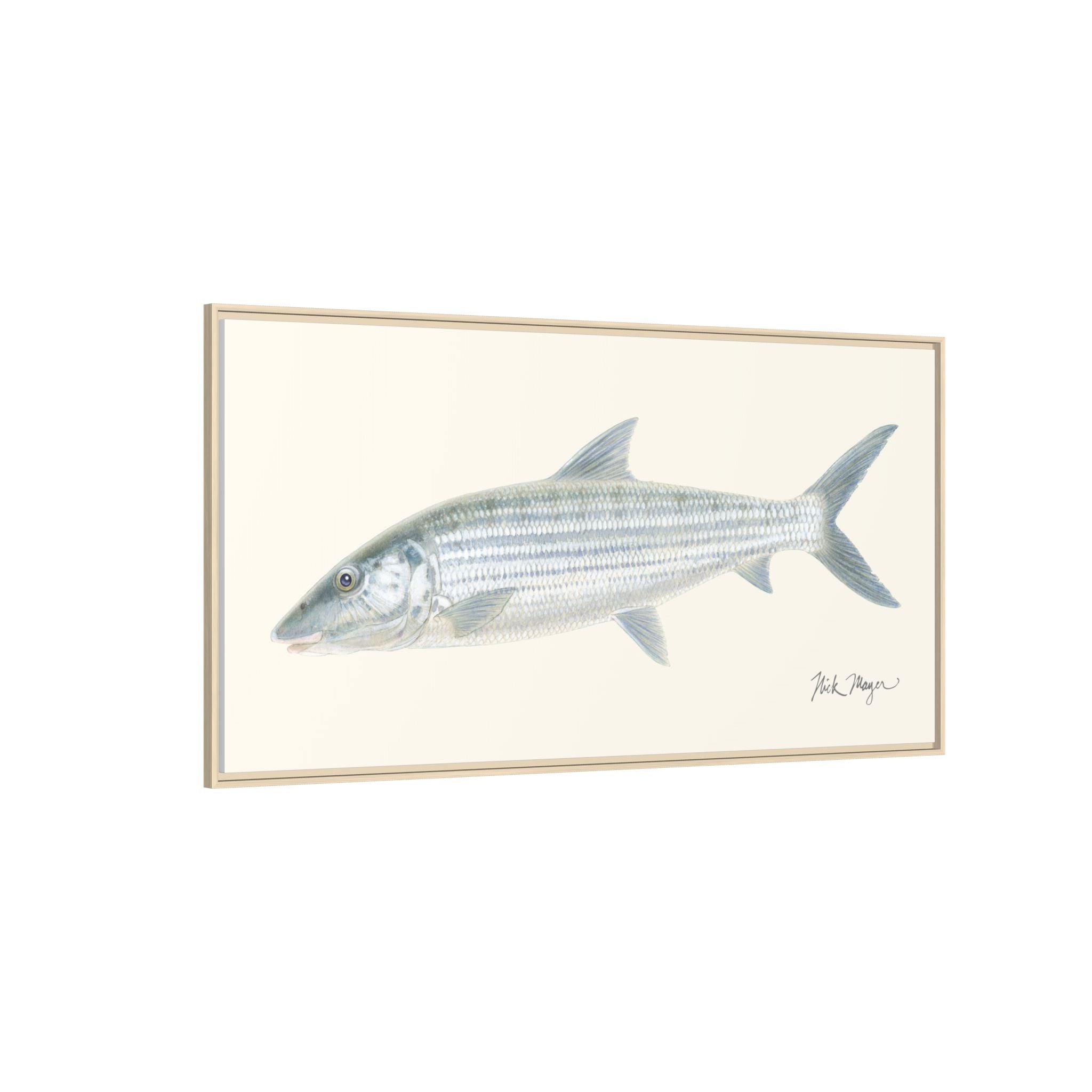 Bonefish Framed Canvas Print Printify
