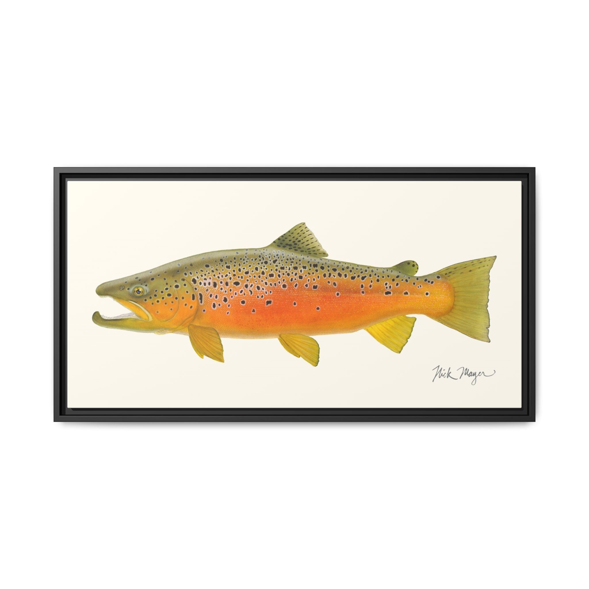 Brown Trout II Framed Canvas Print Printify