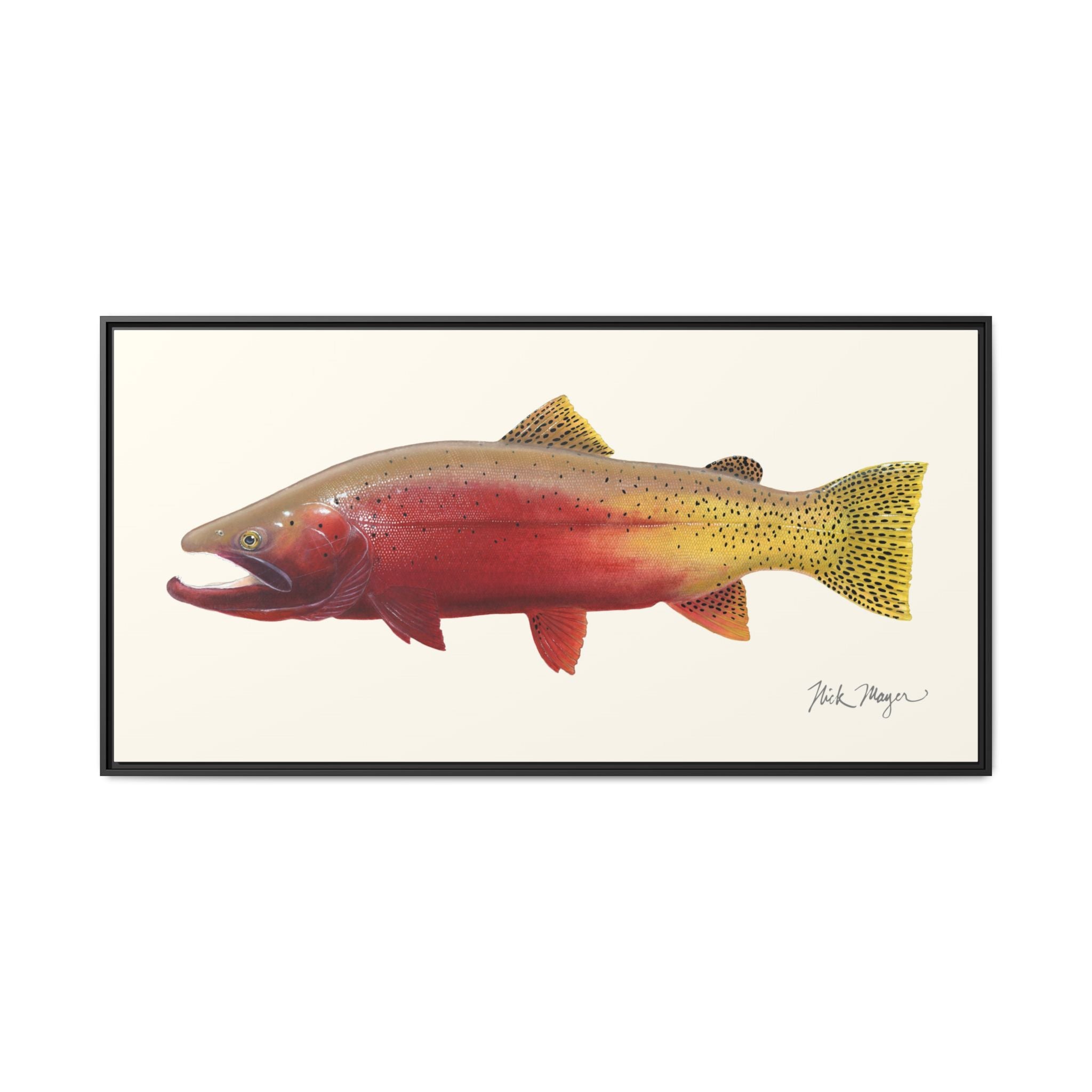 Cutthroat Trout II Framed Canvas Print Printify