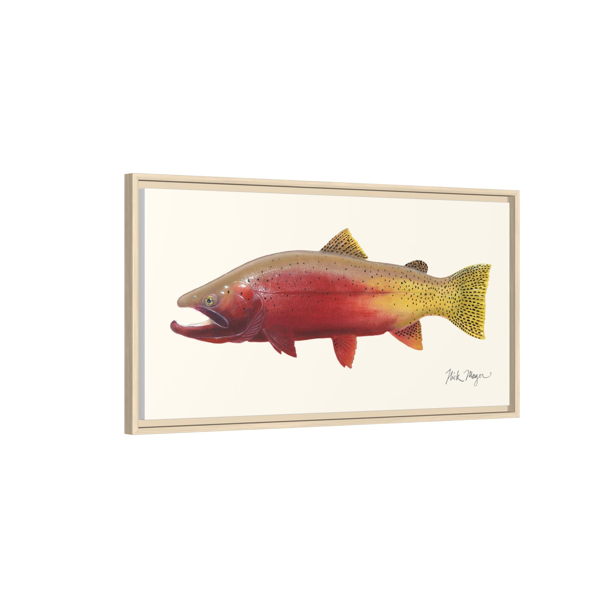 Cutthroat Trout II Framed Canvas Print Printify