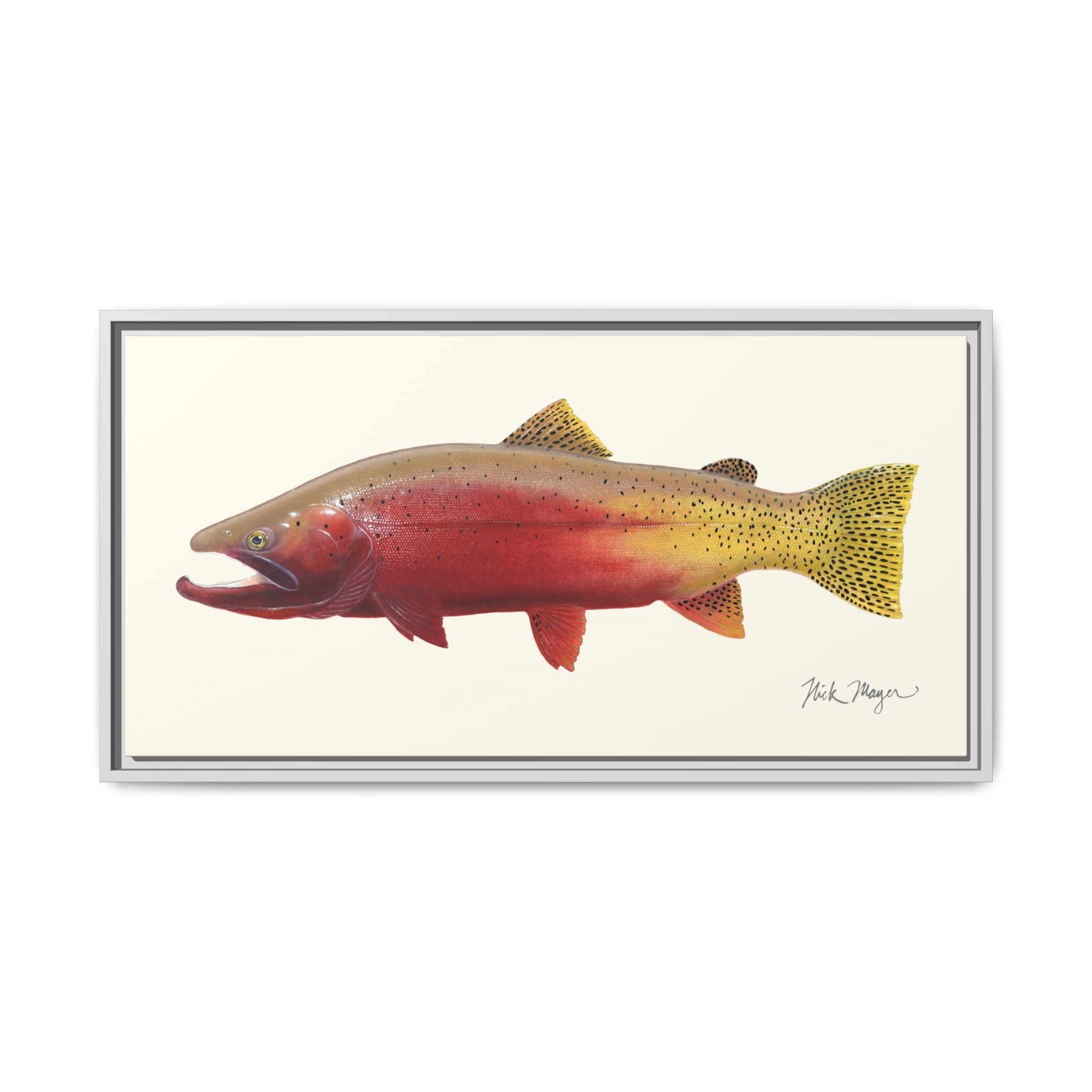 Cutthroat Trout II Framed Canvas Print Printify