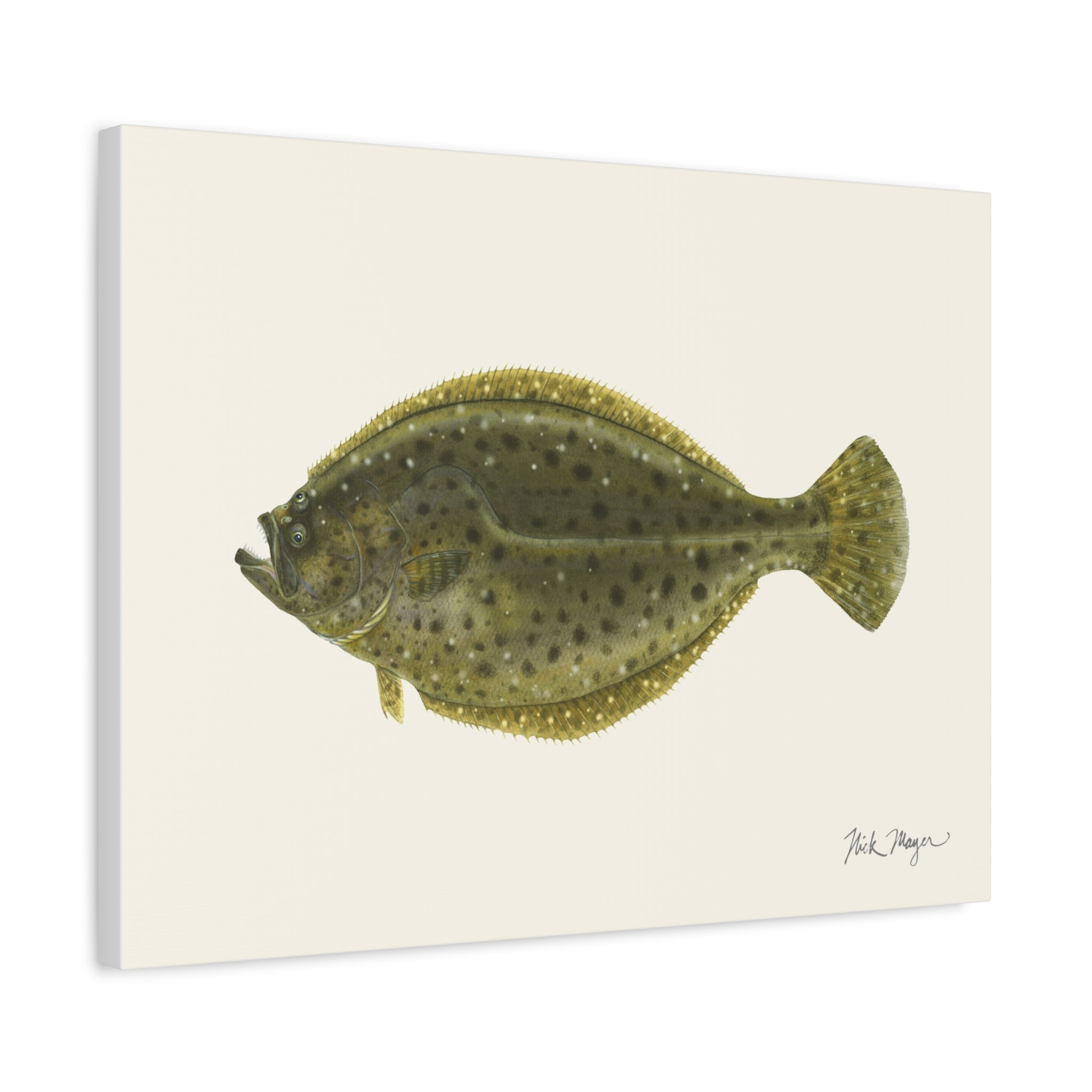 Fluke Canvas Print