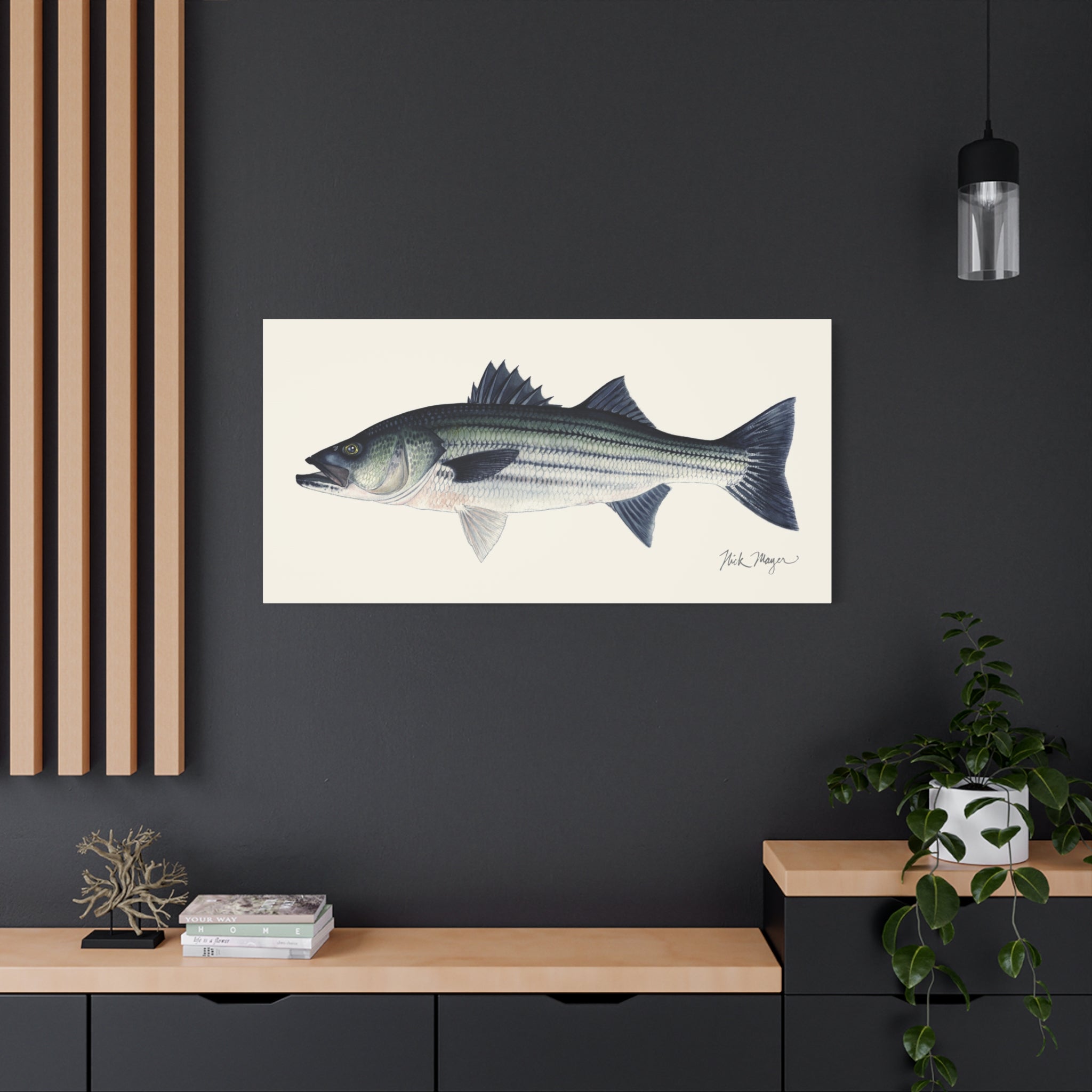 Schoolie Striped Bass I Canvas Print