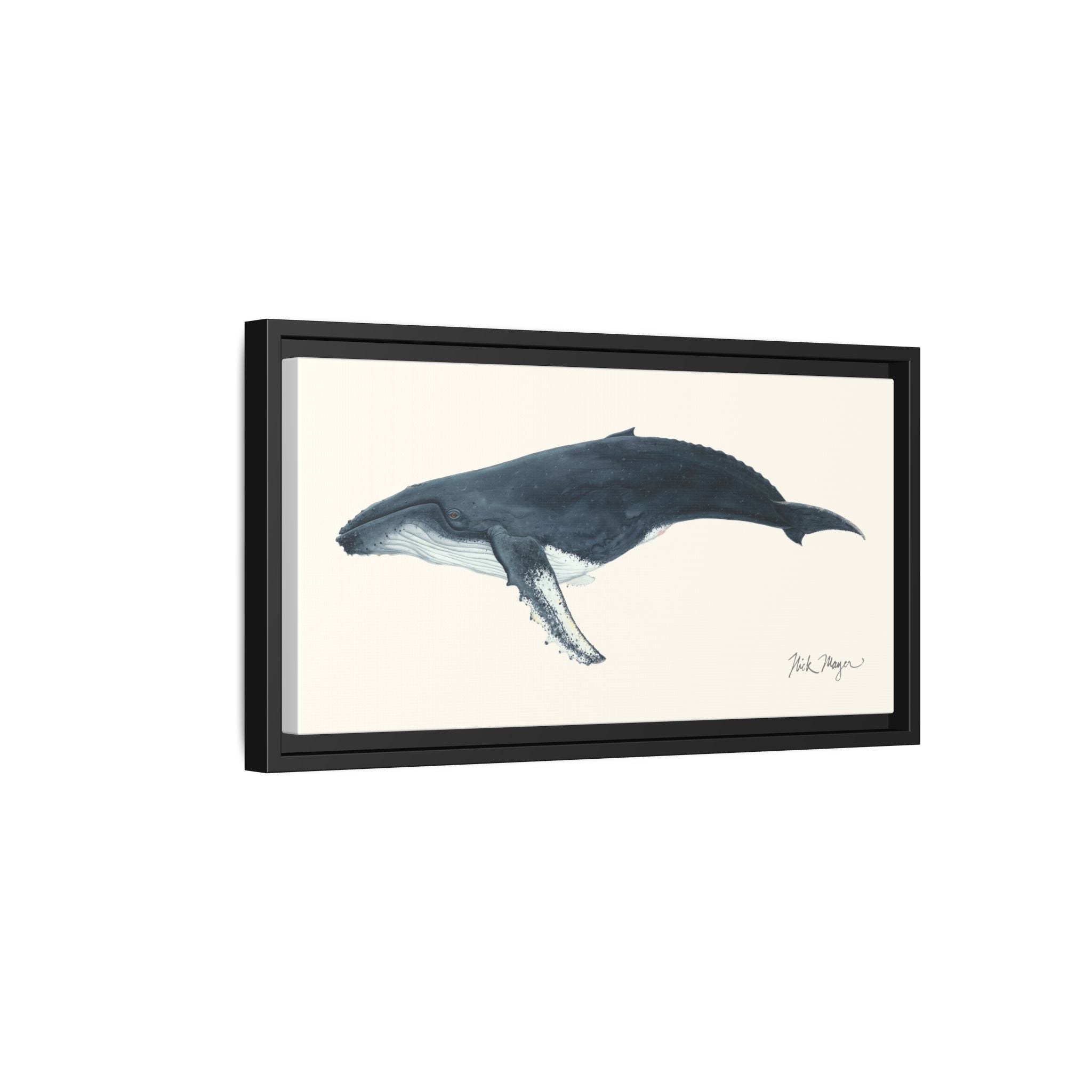 Humpback Whale Framed Canvas Print Printify