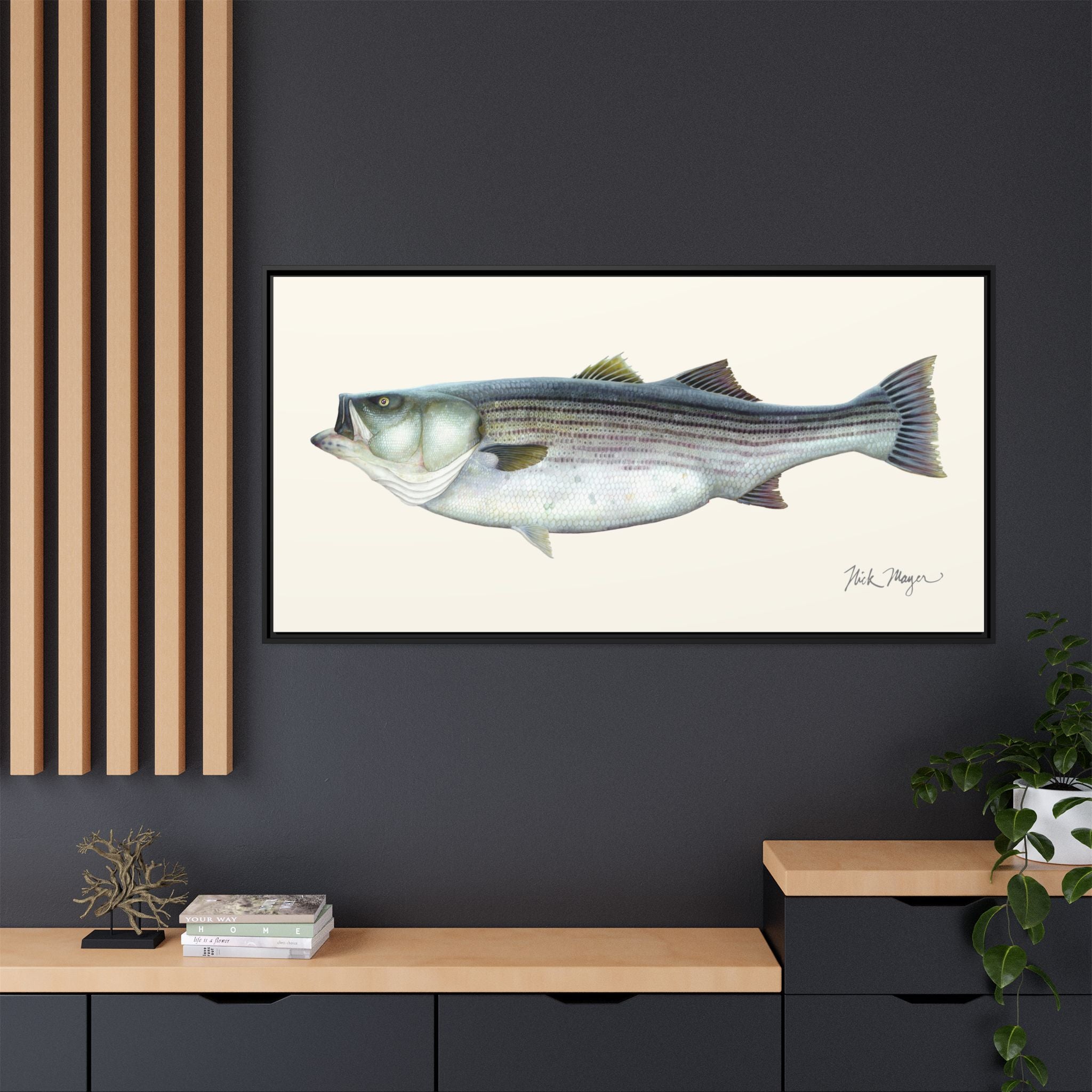 Striped Bass, 60 lbs Framed Canvas Print Printify