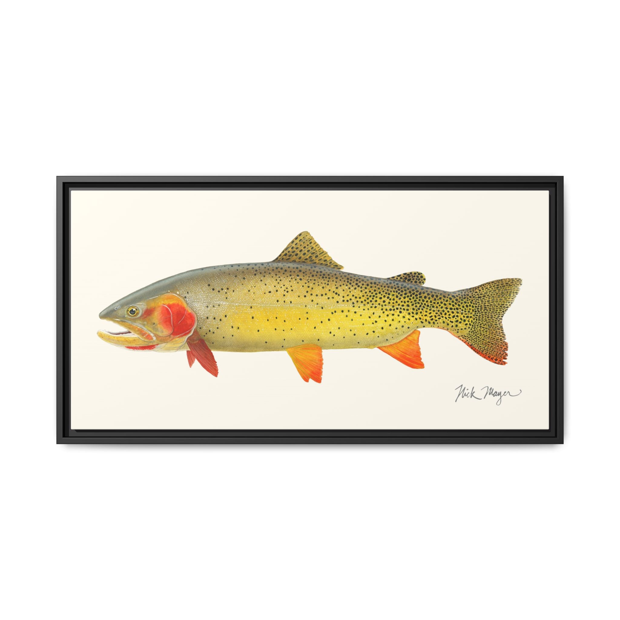 Cutthroat Trout I Framed Canvas Print Printify