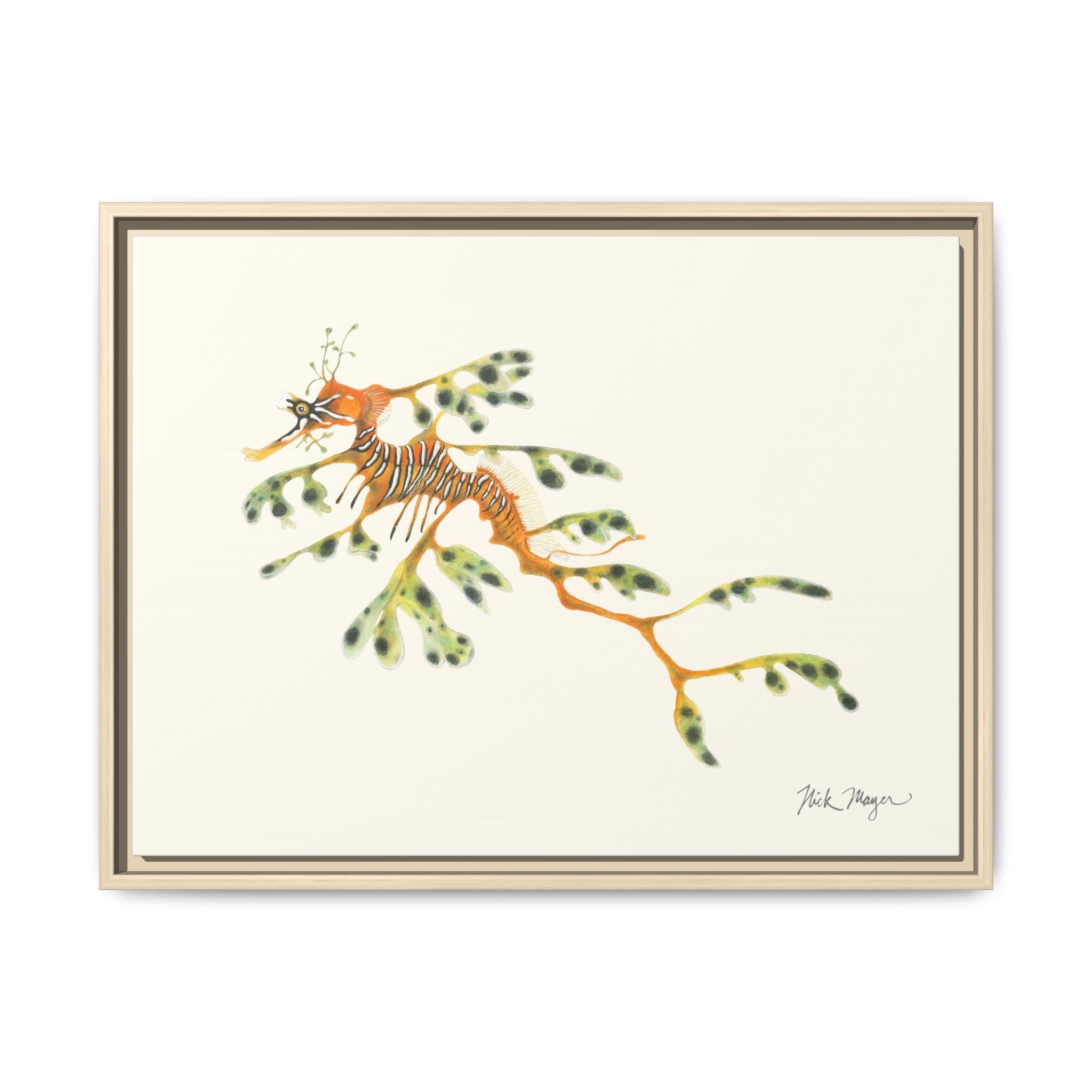 Leafy Sea Dragon Framed Canvas Print Printify