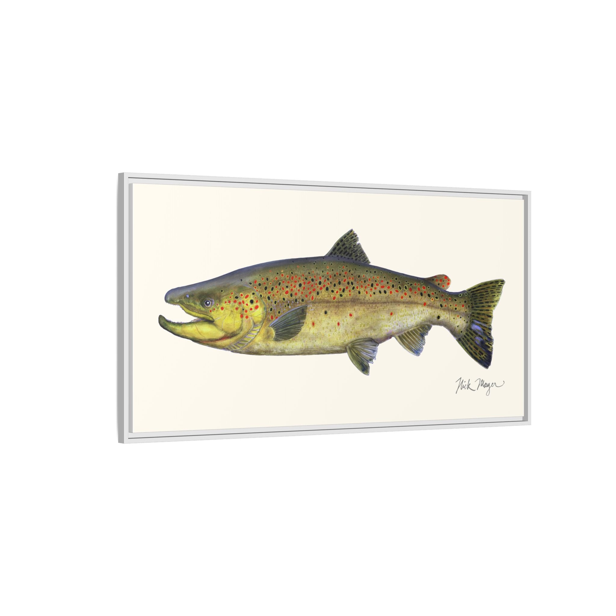 Brown Trout I Framed Canvas Print Printify
