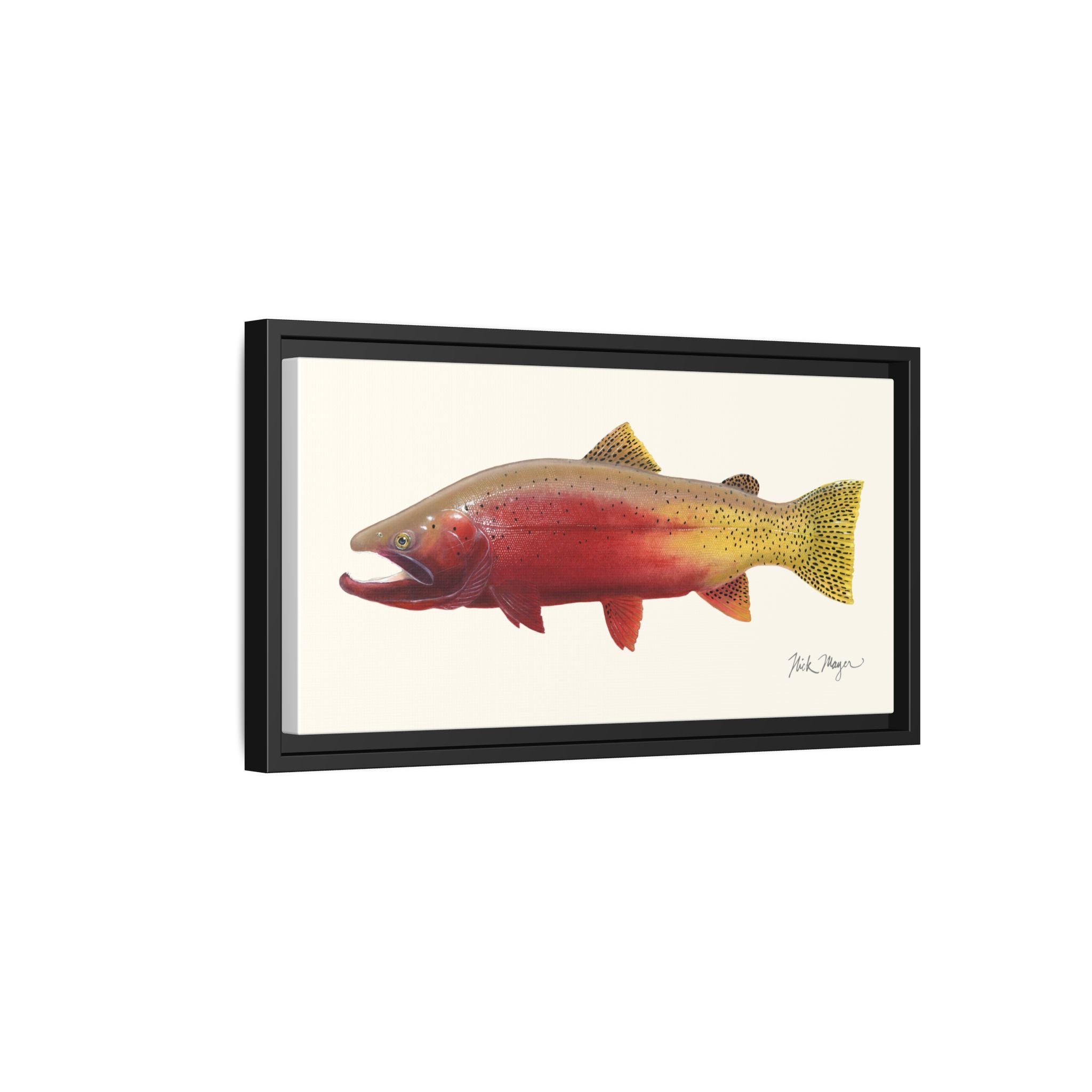 Cutthroat Trout II Framed Canvas Print Printify