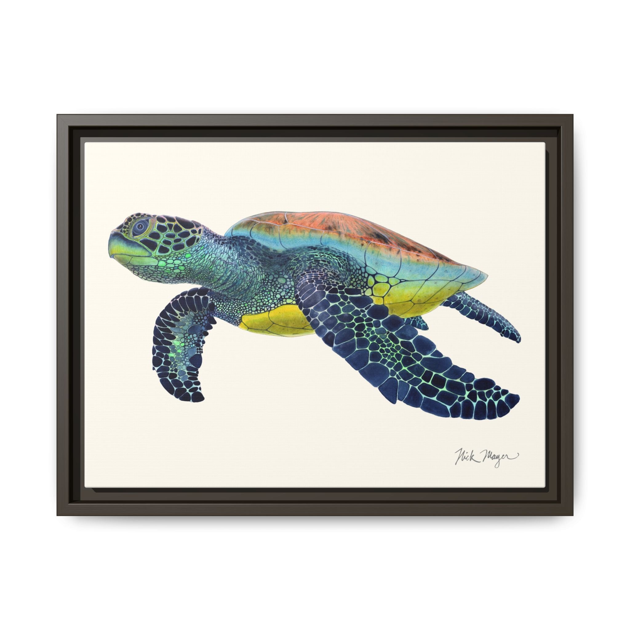 Green Sea Turtle II Framed Canvas Print
