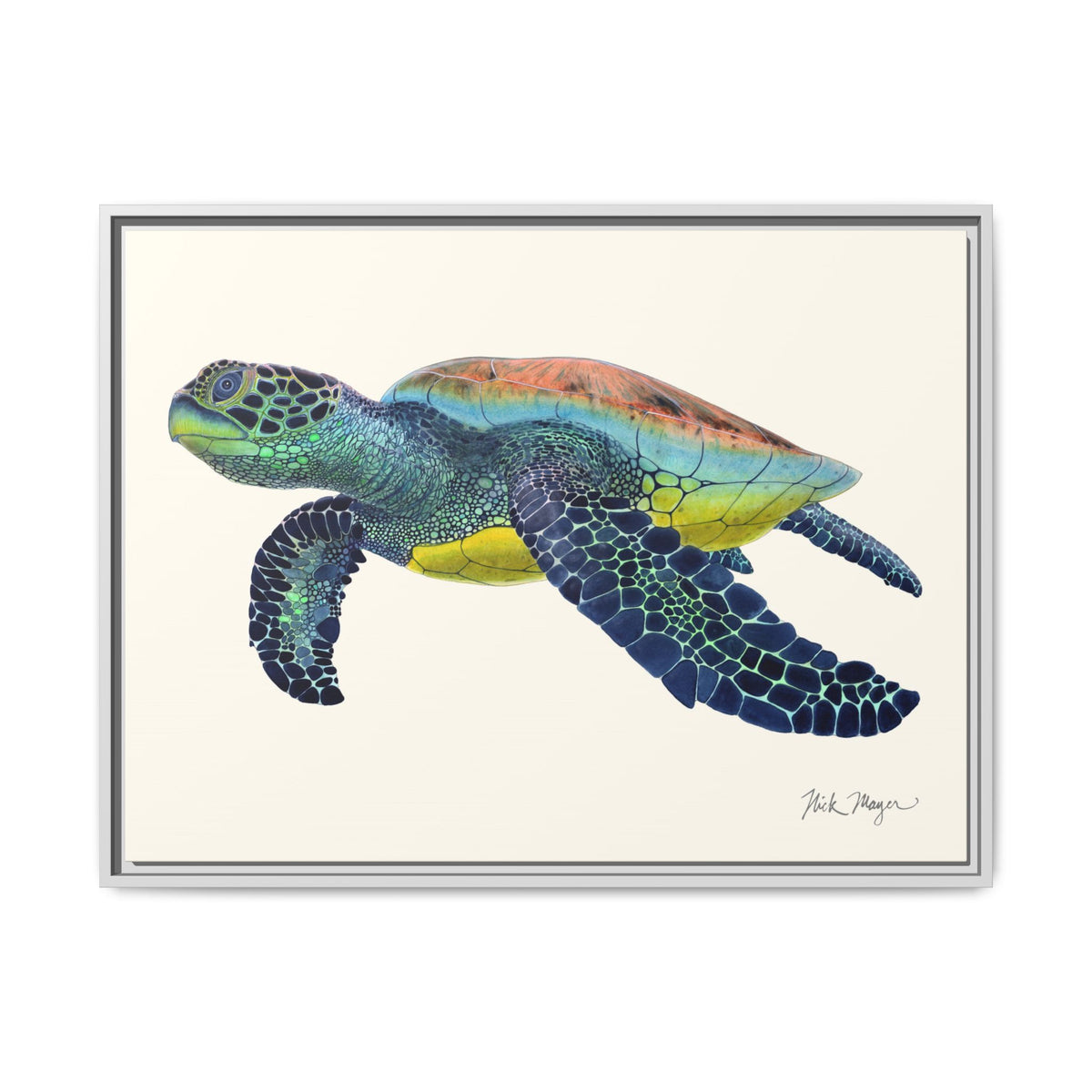 Green Sea Turtle II Framed Canvas Print Printify