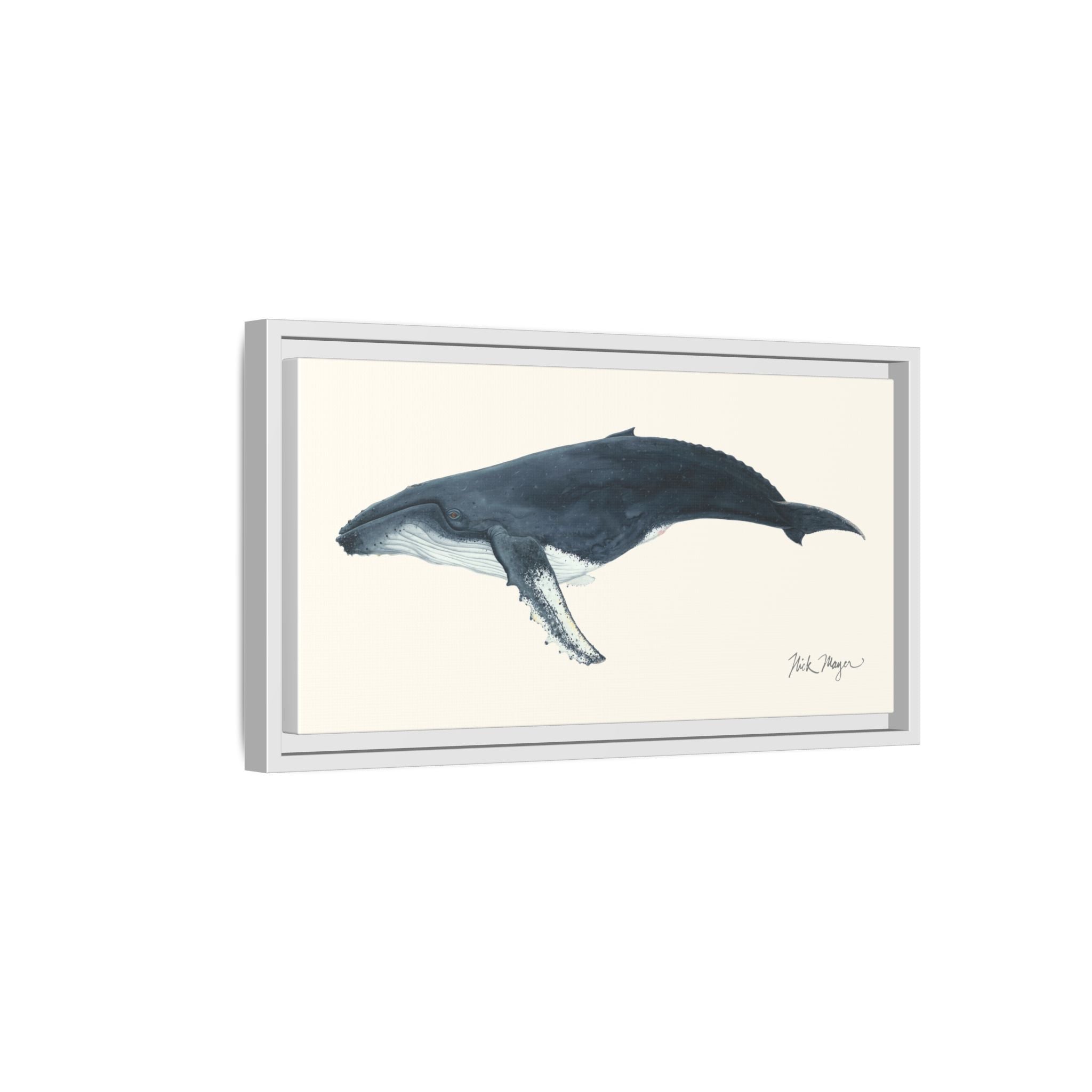 Humpback Whale Framed Canvas Print Printify