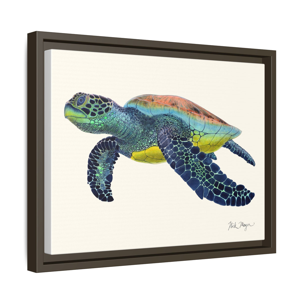 Green Sea Turtle II Framed Canvas Print Printify