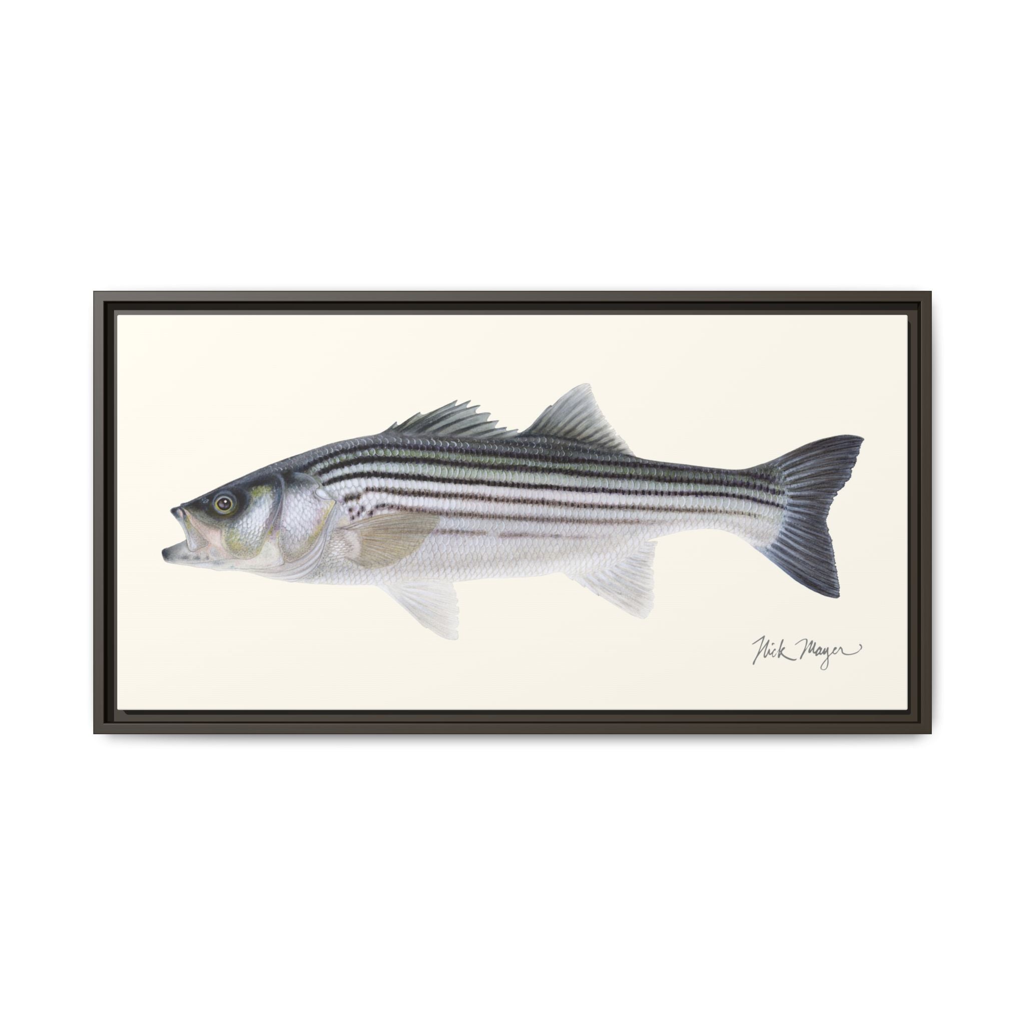 Schoolie Striped Bass Framed Canvas Print Printify