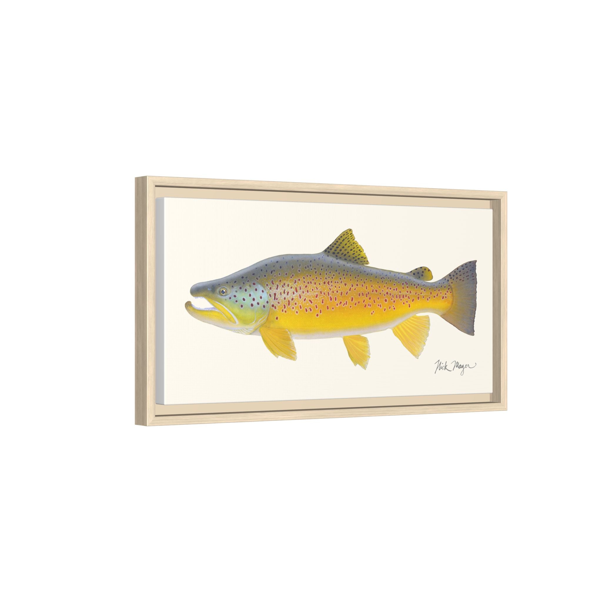 Brown Trout III Framed Canvas Print Printify