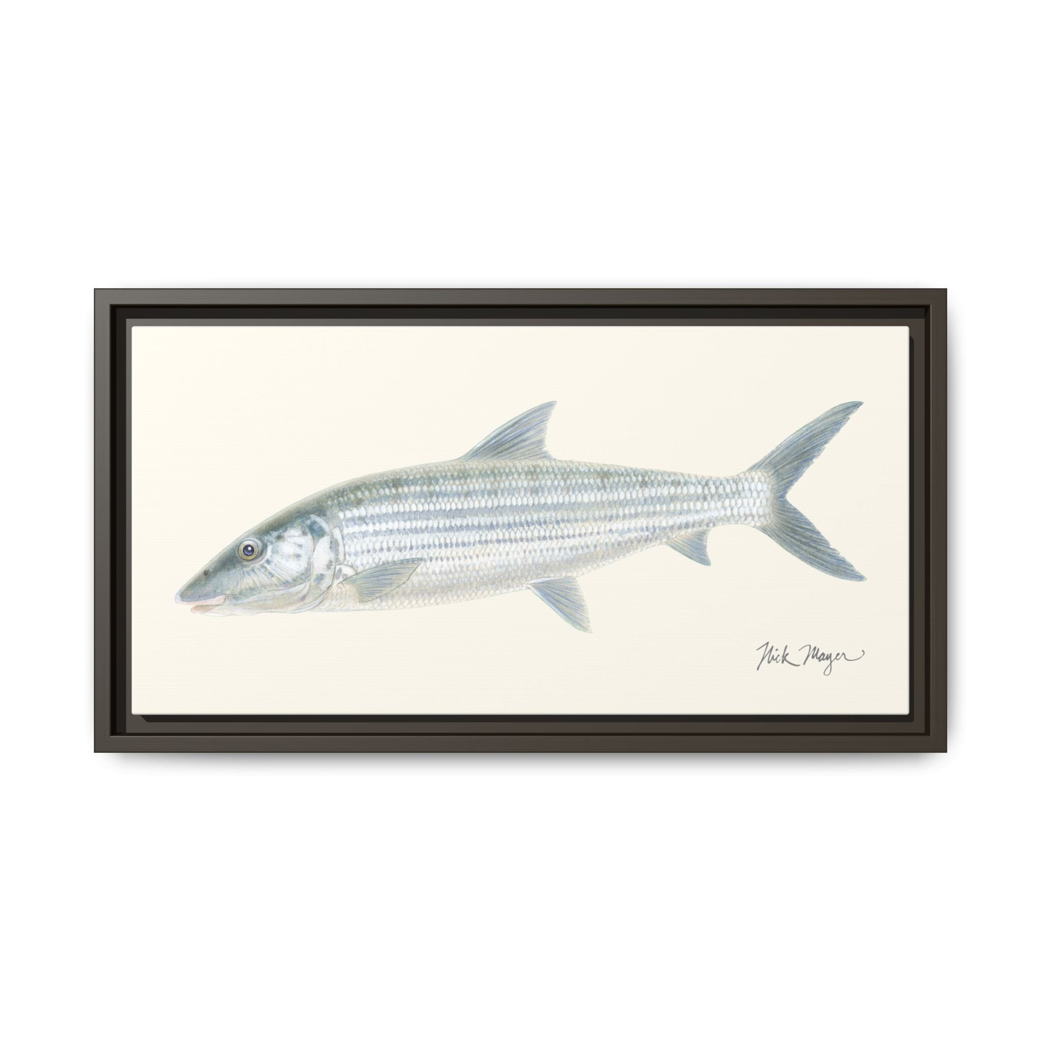 Bonefish Framed Canvas Print Printify