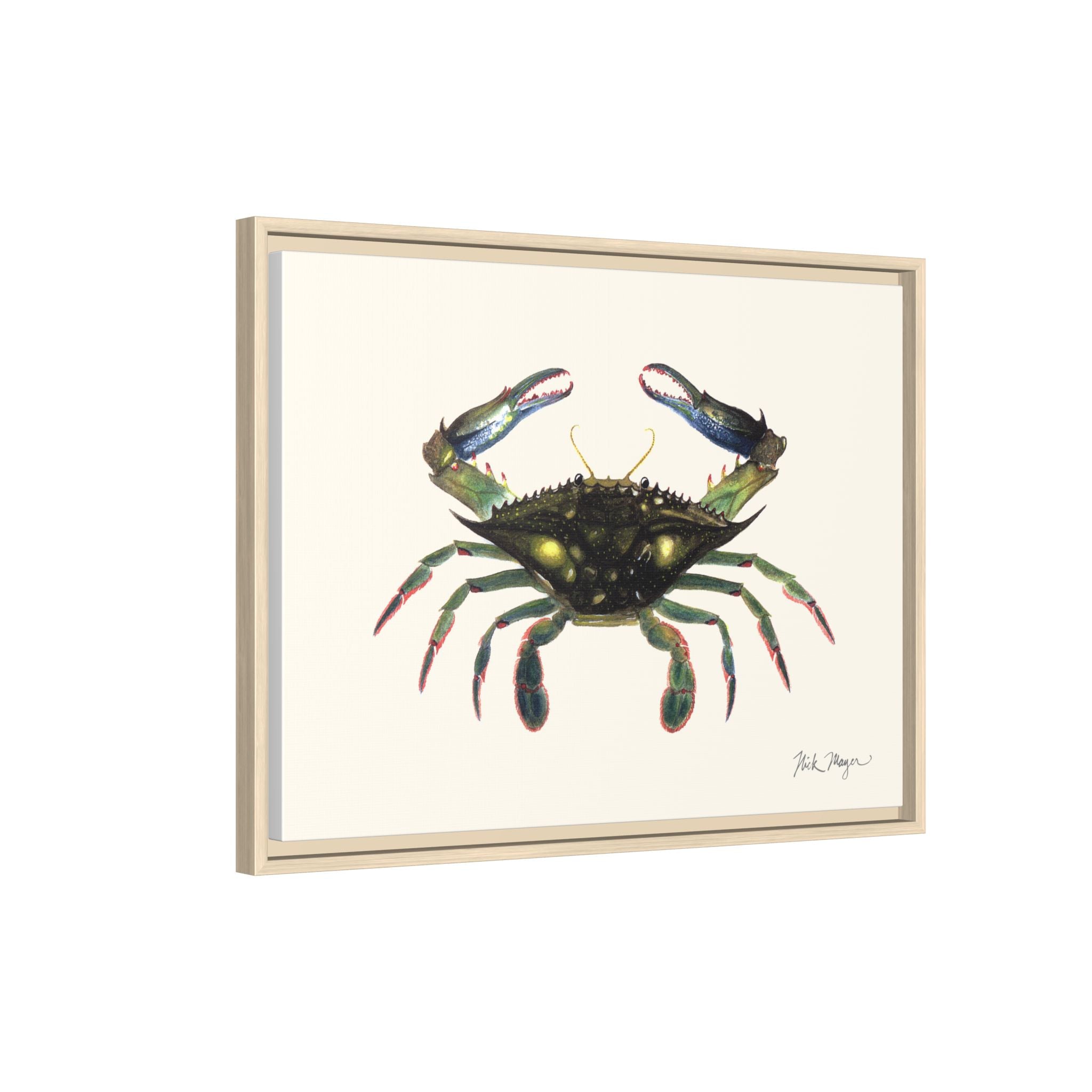 Blue Crab, Claws in Framed Canvas Print Printify