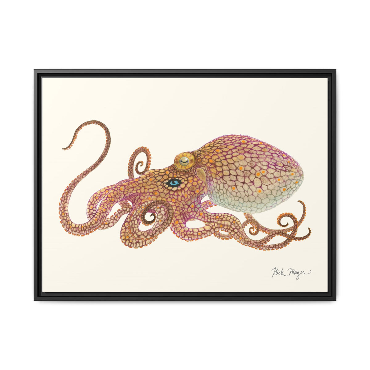 Two Spot Octopus Framed Canvas Print Printify