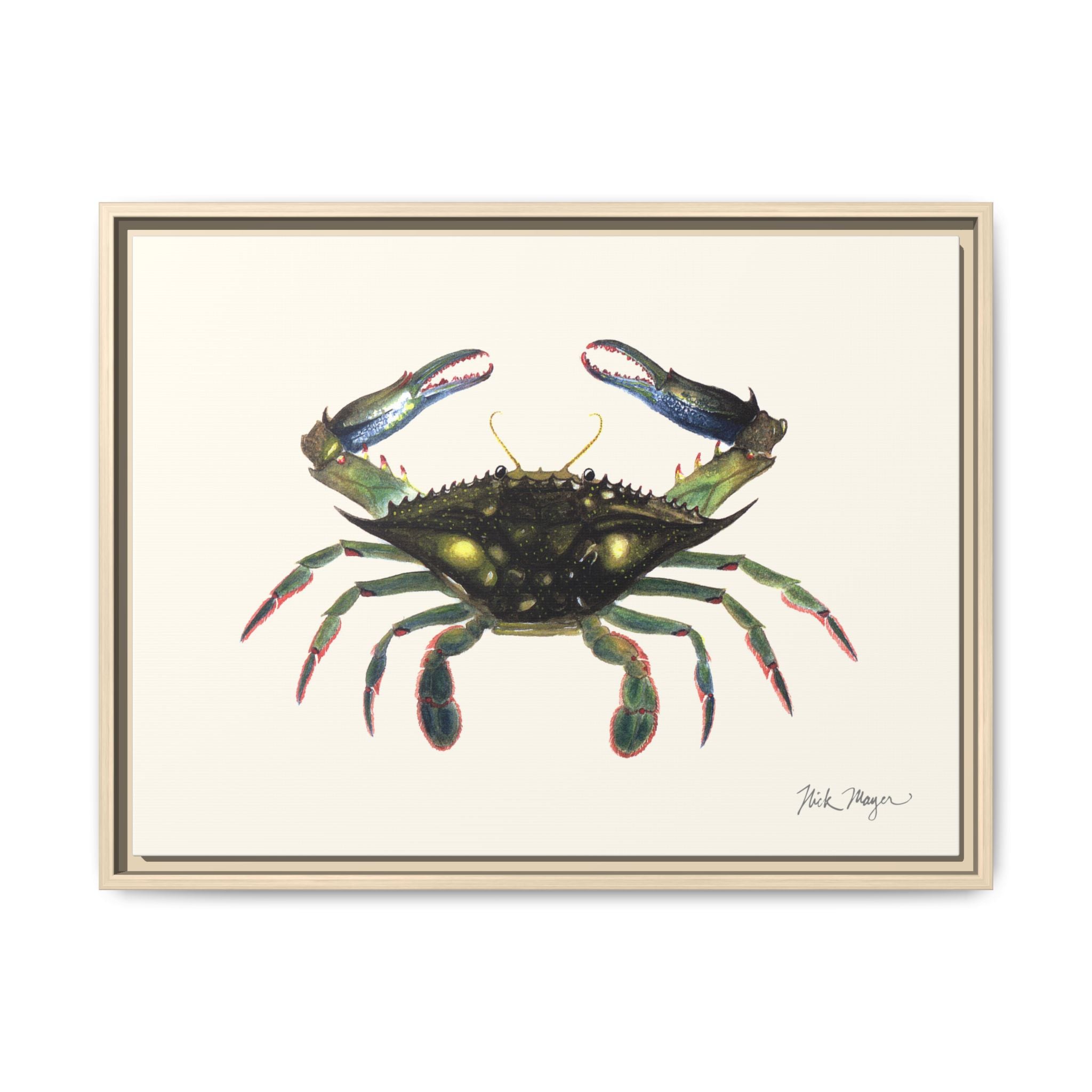 Blue Crab, Claws in Framed Canvas Print Printify
