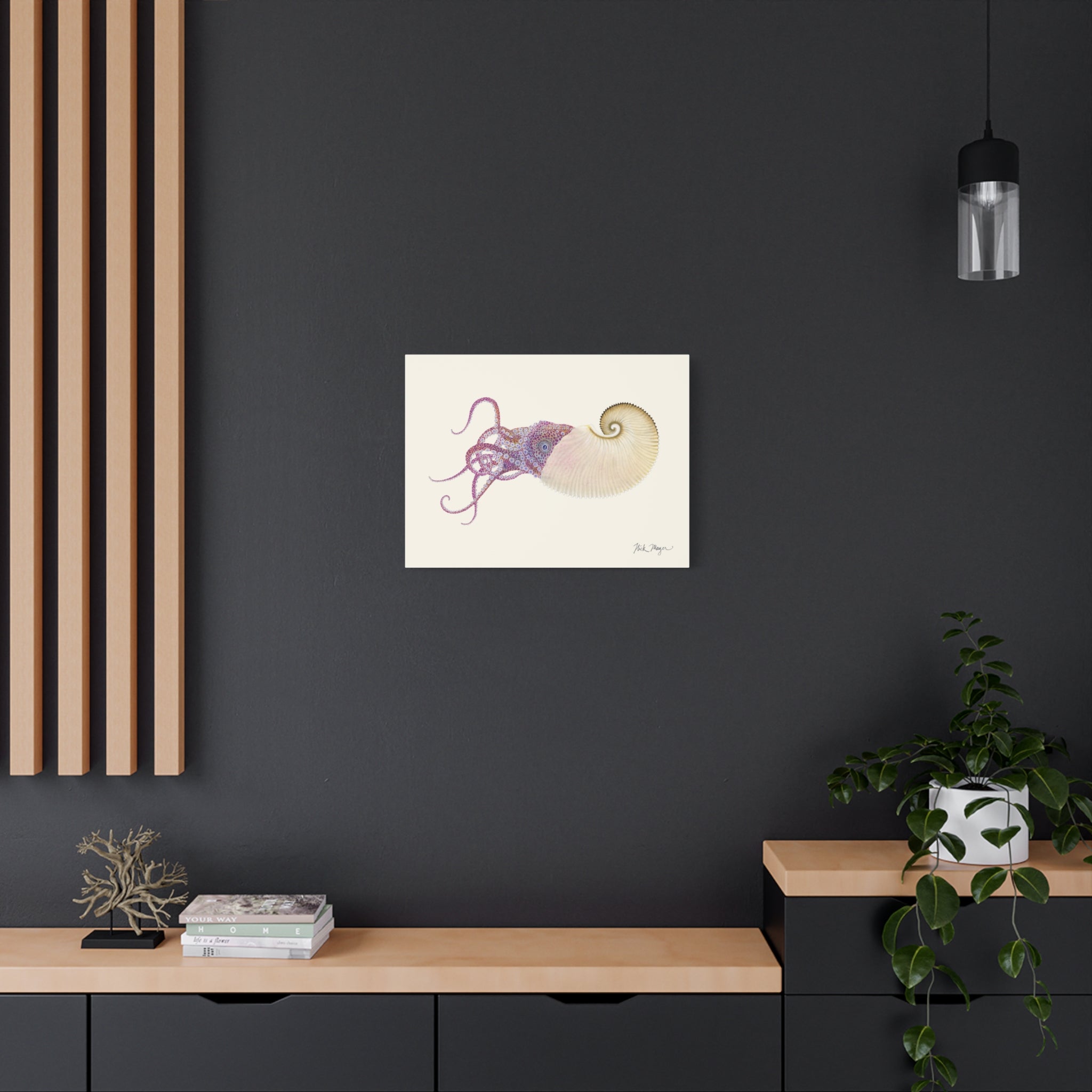 Paper Nautilus Canvas Print