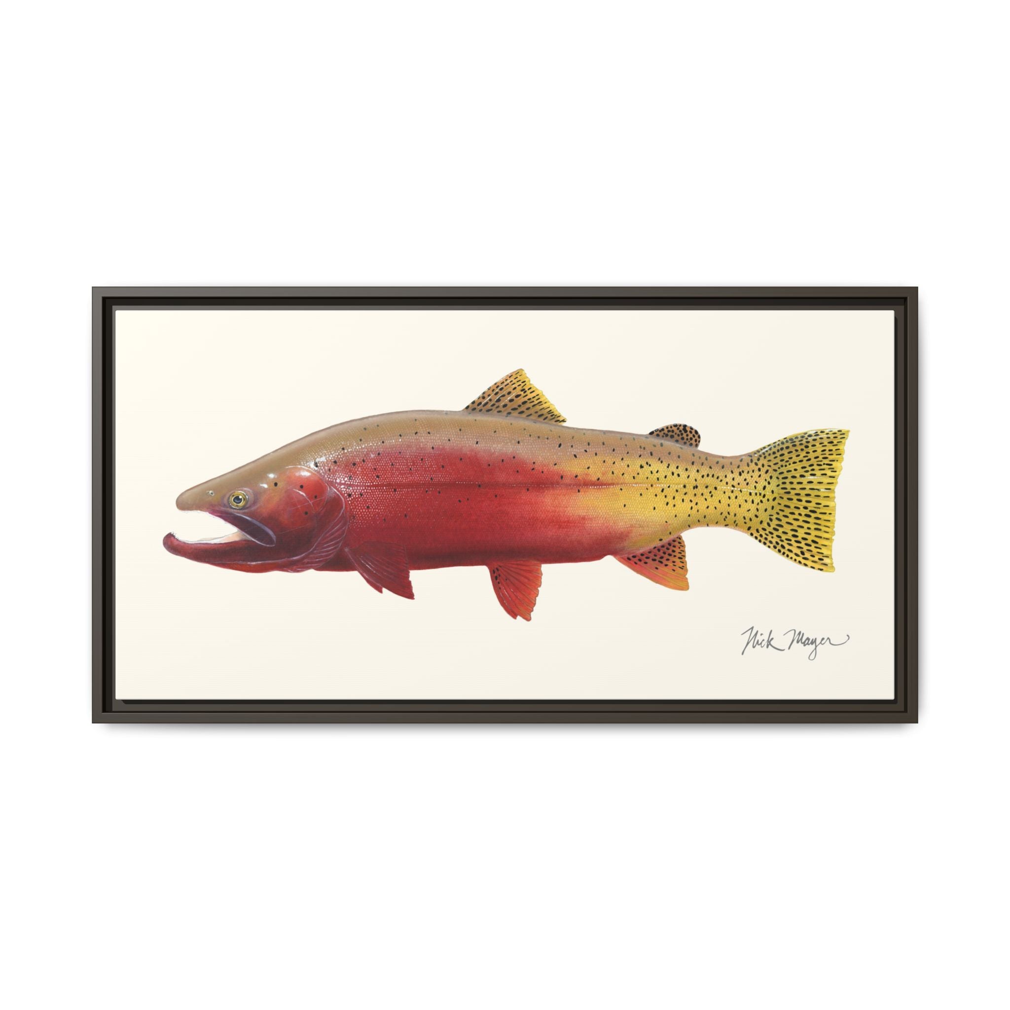Cutthroat Trout II Framed Canvas Print Printify