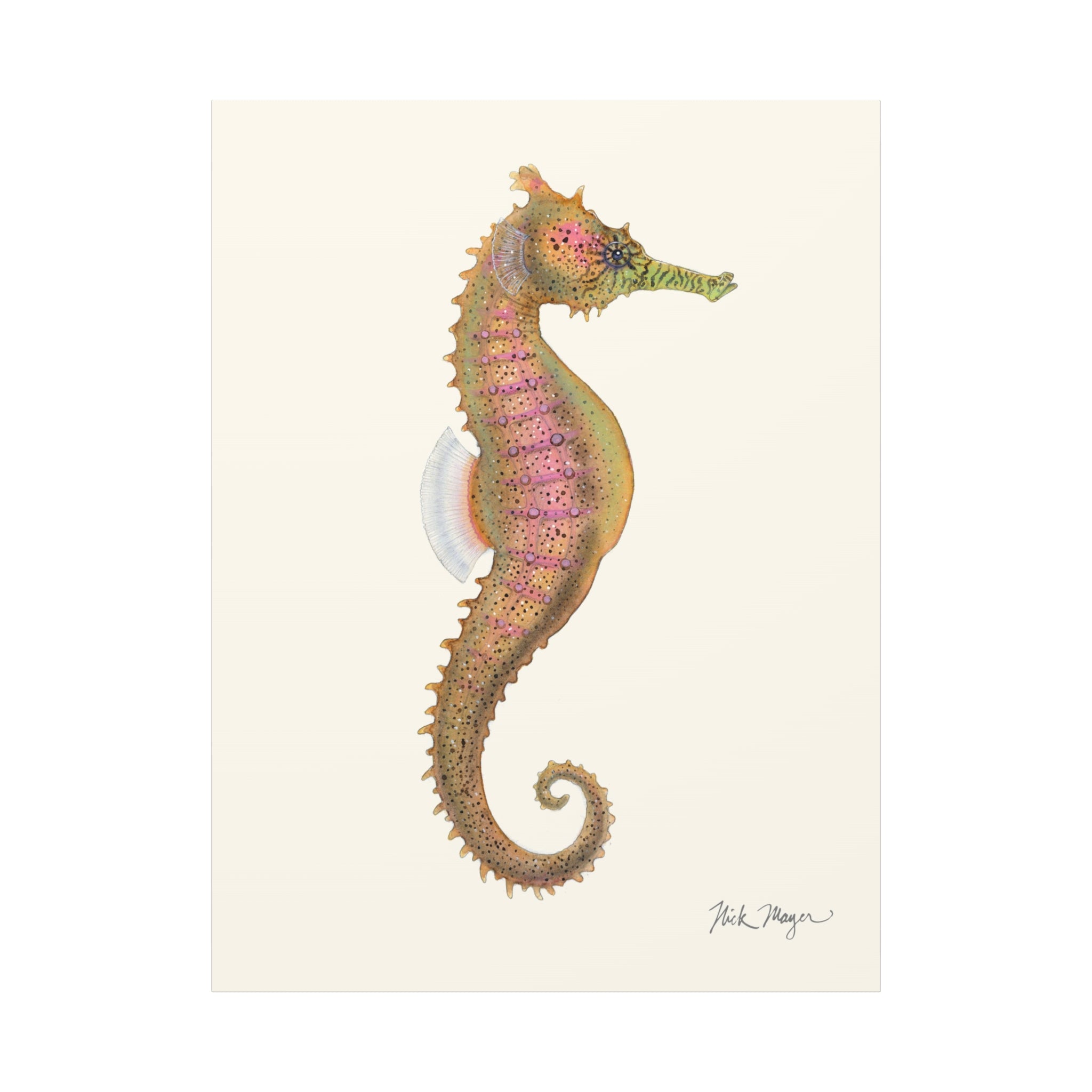 Estuary Seahorse Canvas Print