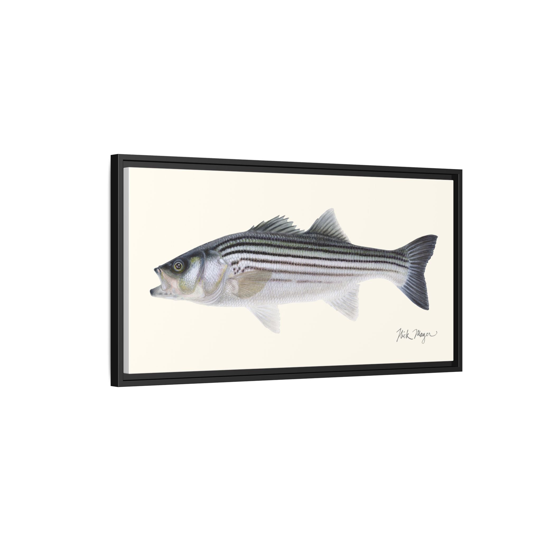 Schoolie Striped Bass Framed Canvas Print Printify