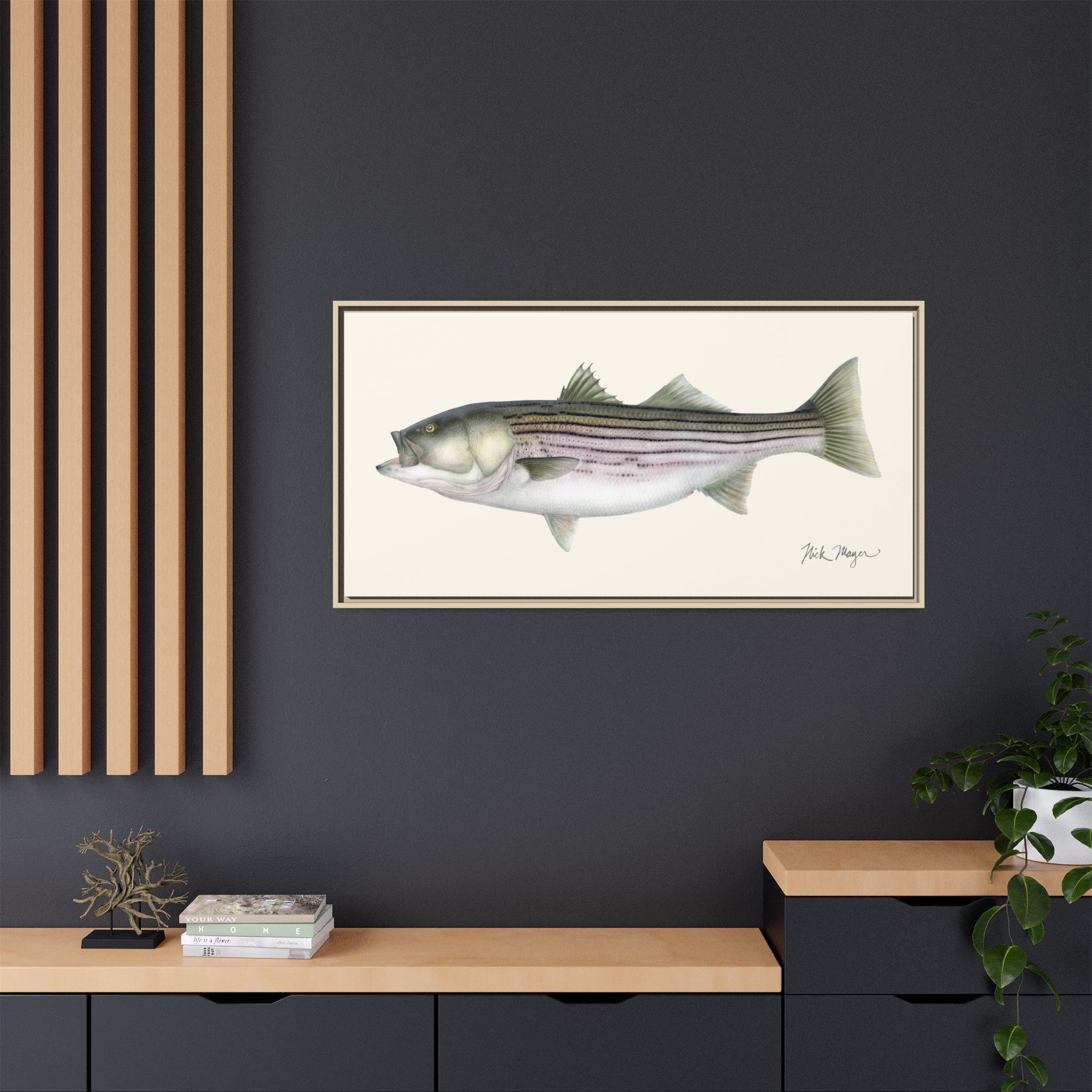 Striped Bass, 30 lbs Framed Canvas Print Printify