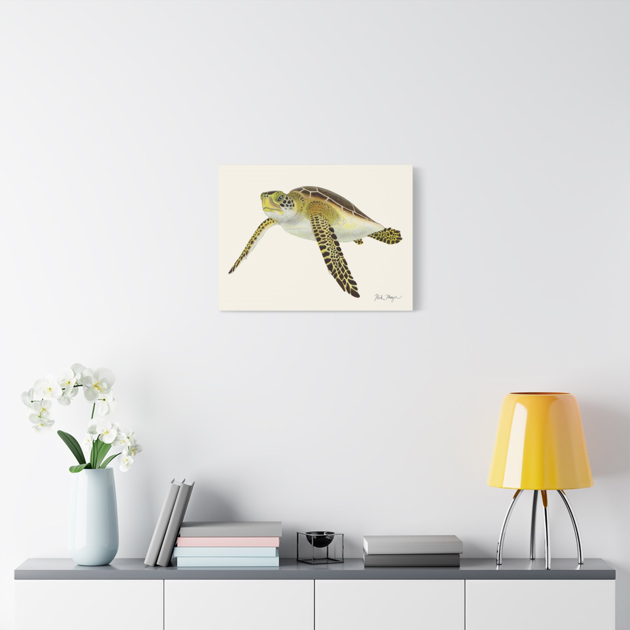 Juvenile Green Sea Turtle III Canvas Print