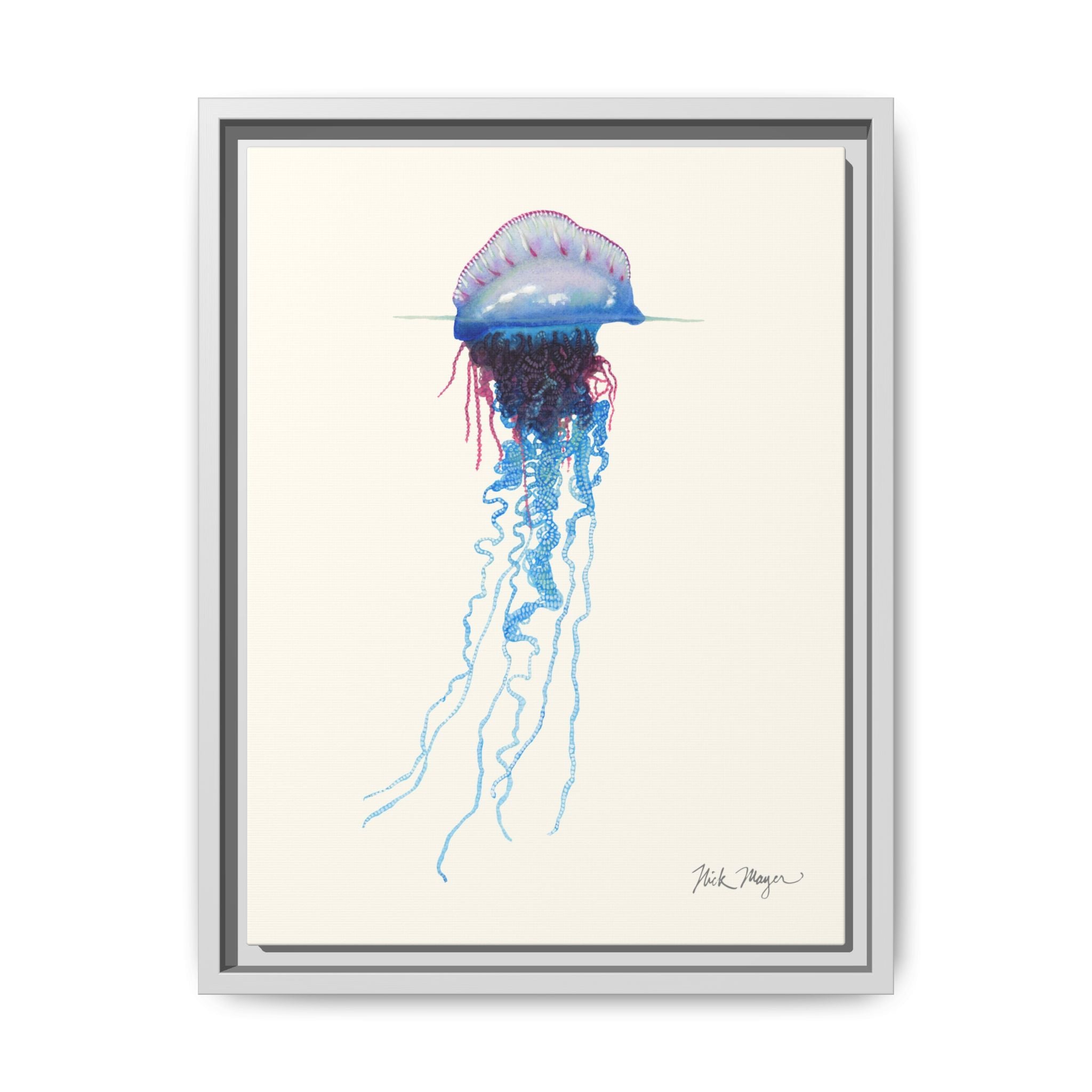 Portuguese Man O' War Framed Canvas Print Printify