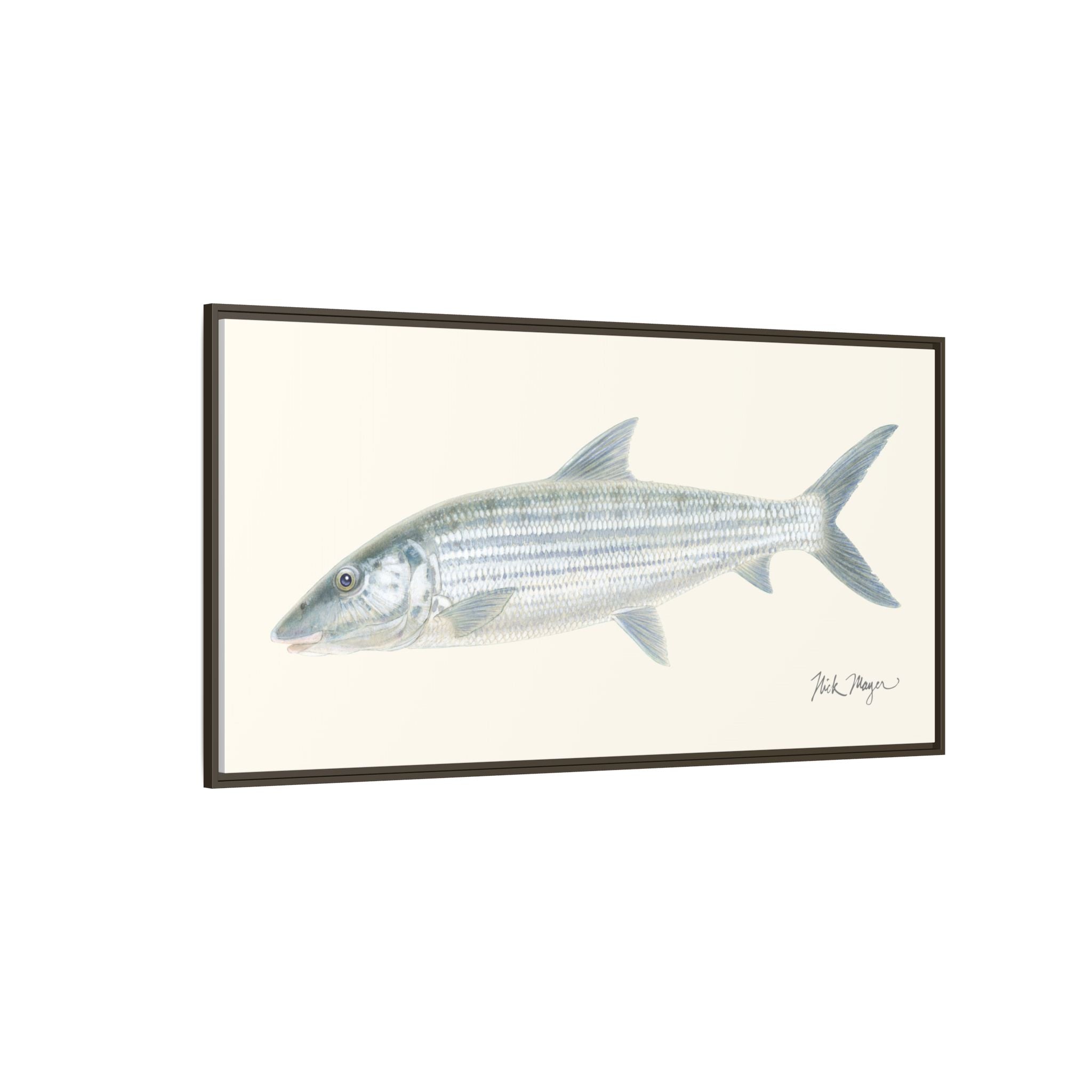 Bonefish Framed Canvas Print Printify