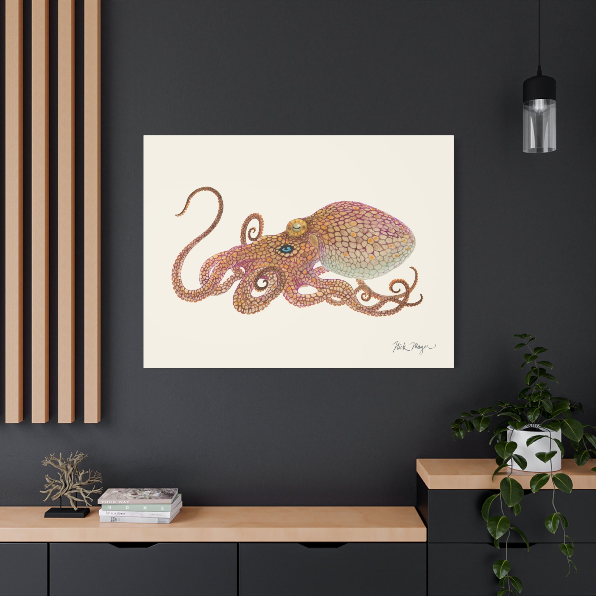 California Two Spot Octopus Canvas Print