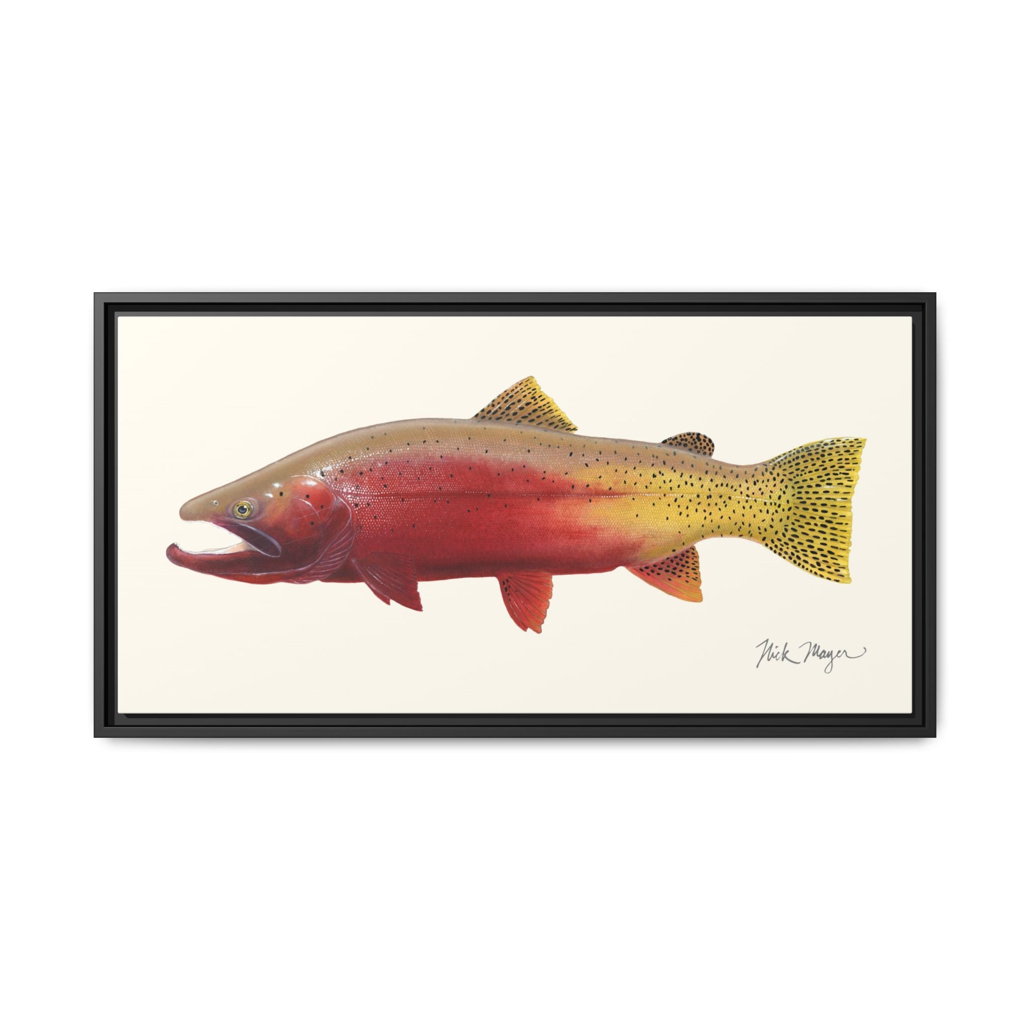 Cutthroat Trout II Framed Canvas Print Printify