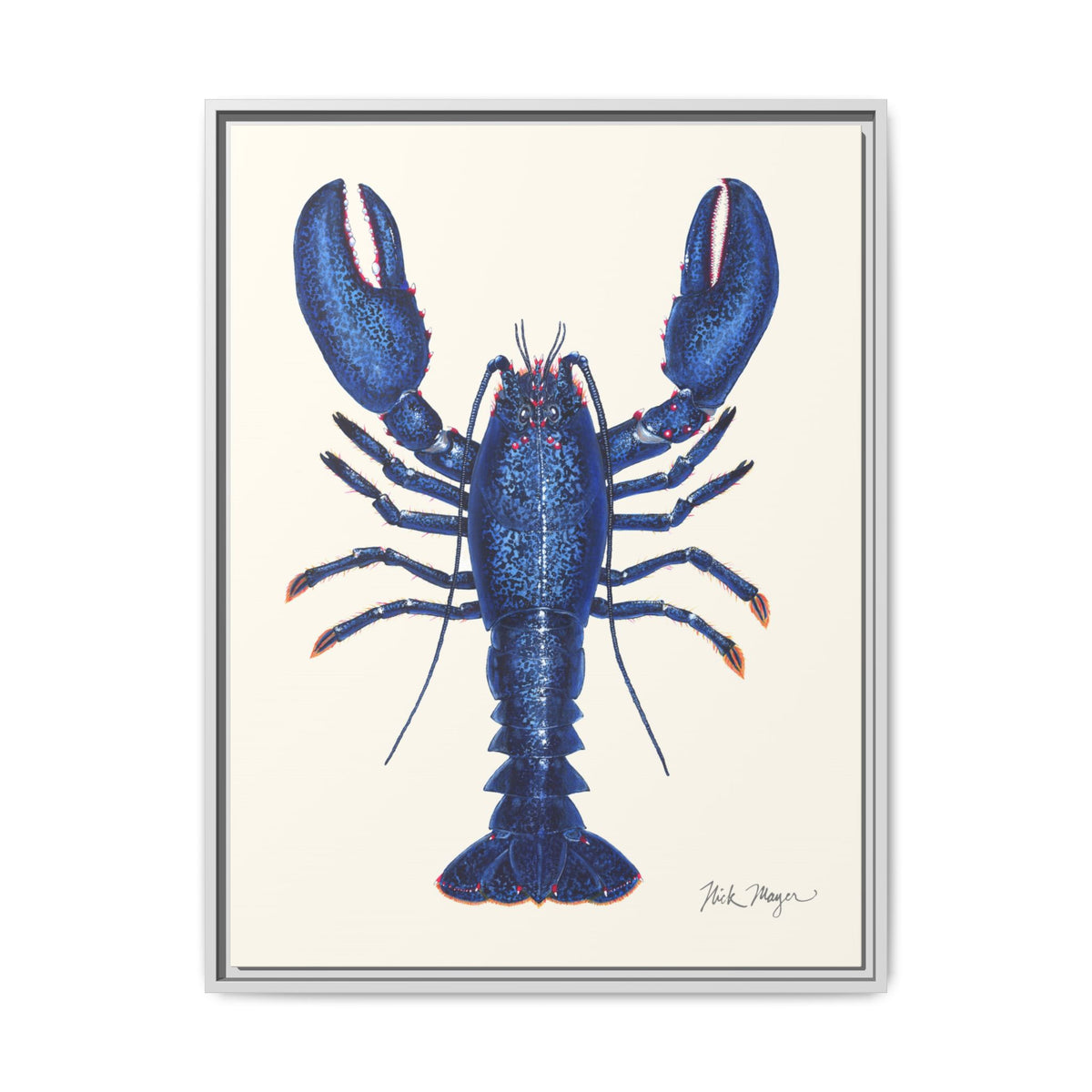 Blue Lobster II Framed Canvas Print Printify
