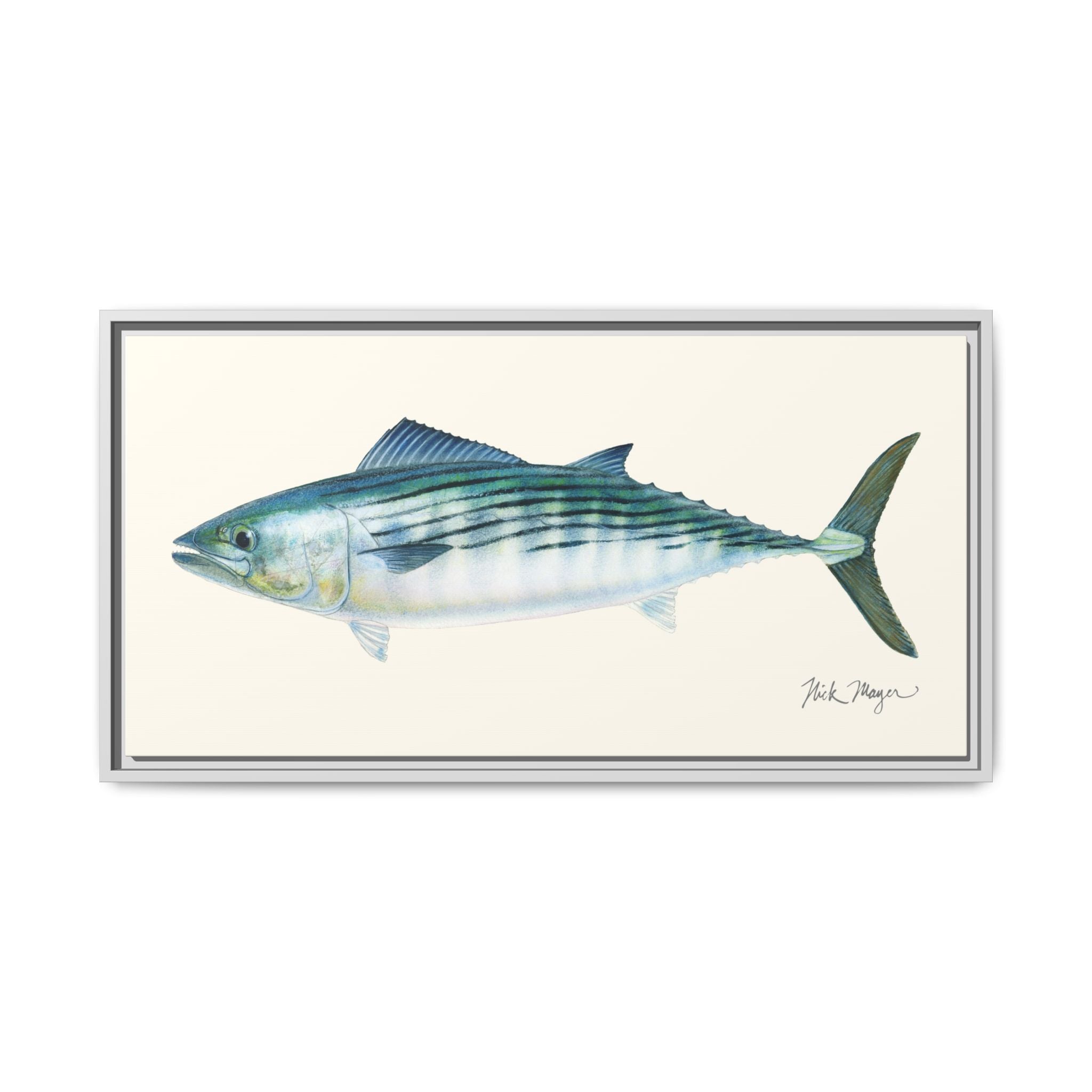 Bonito Framed Canvas Print Printify