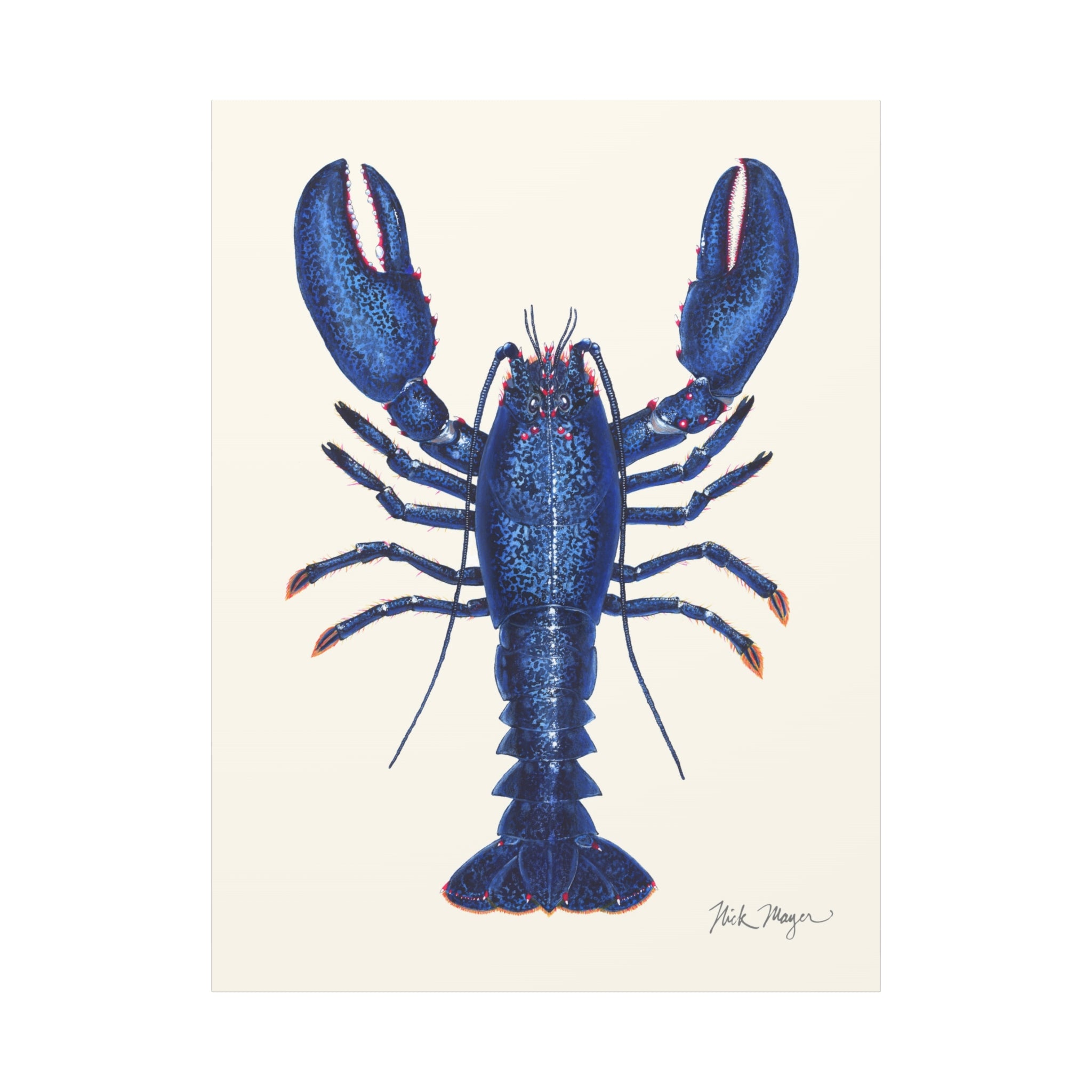 Blue Lobster II Canvas Print