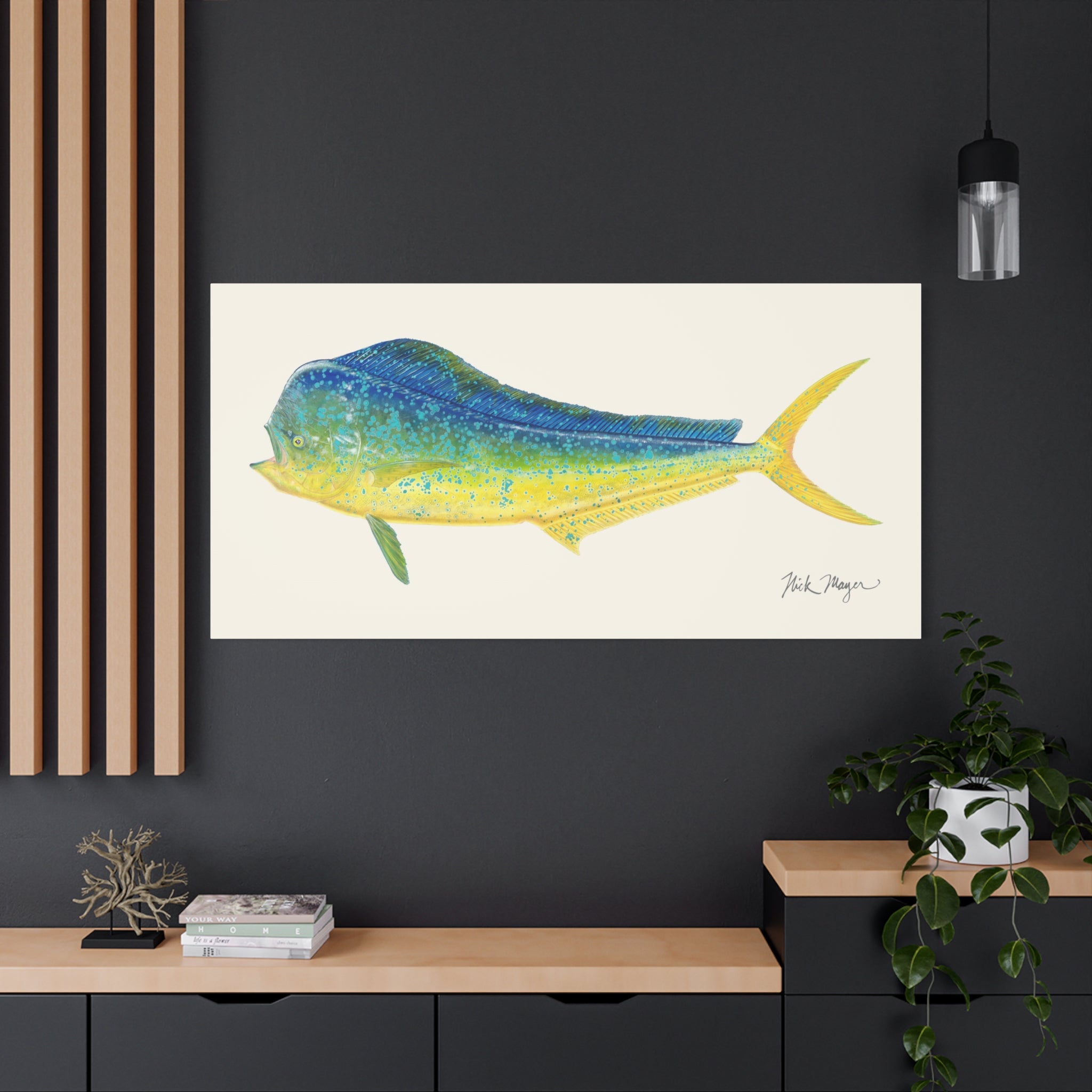 Bull Dorado / Mahi Canvas Print
