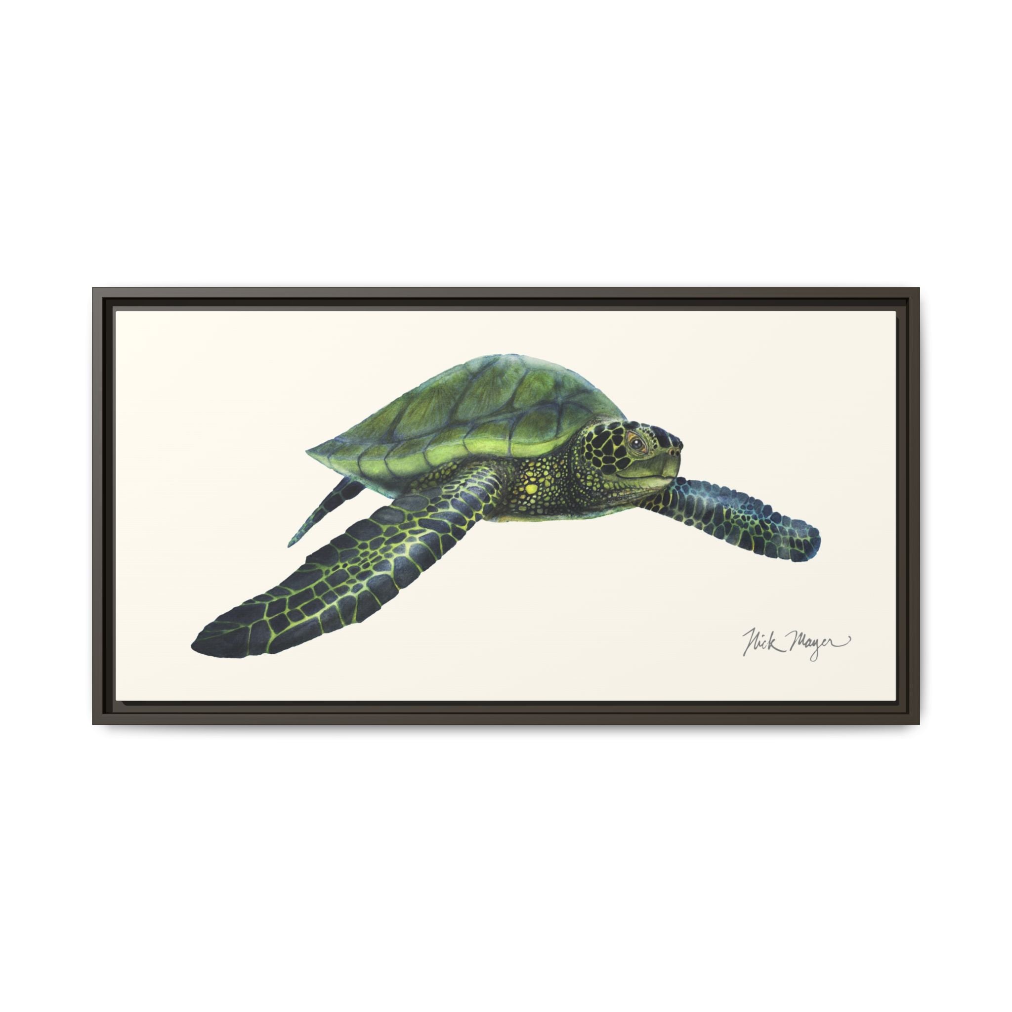 Green Sea Turtle I Framed Canvas Print Printify