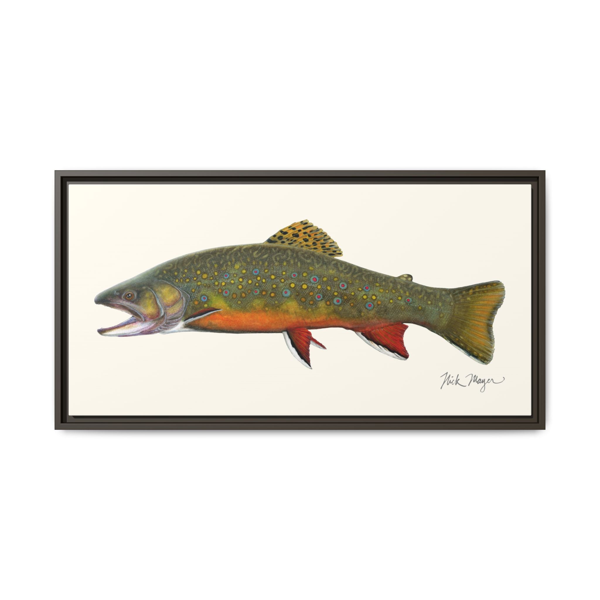 Beaver Pond Brook Trout Framed Canvas Print Printify