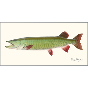 Trophy Muskie Metal Print, NEW!