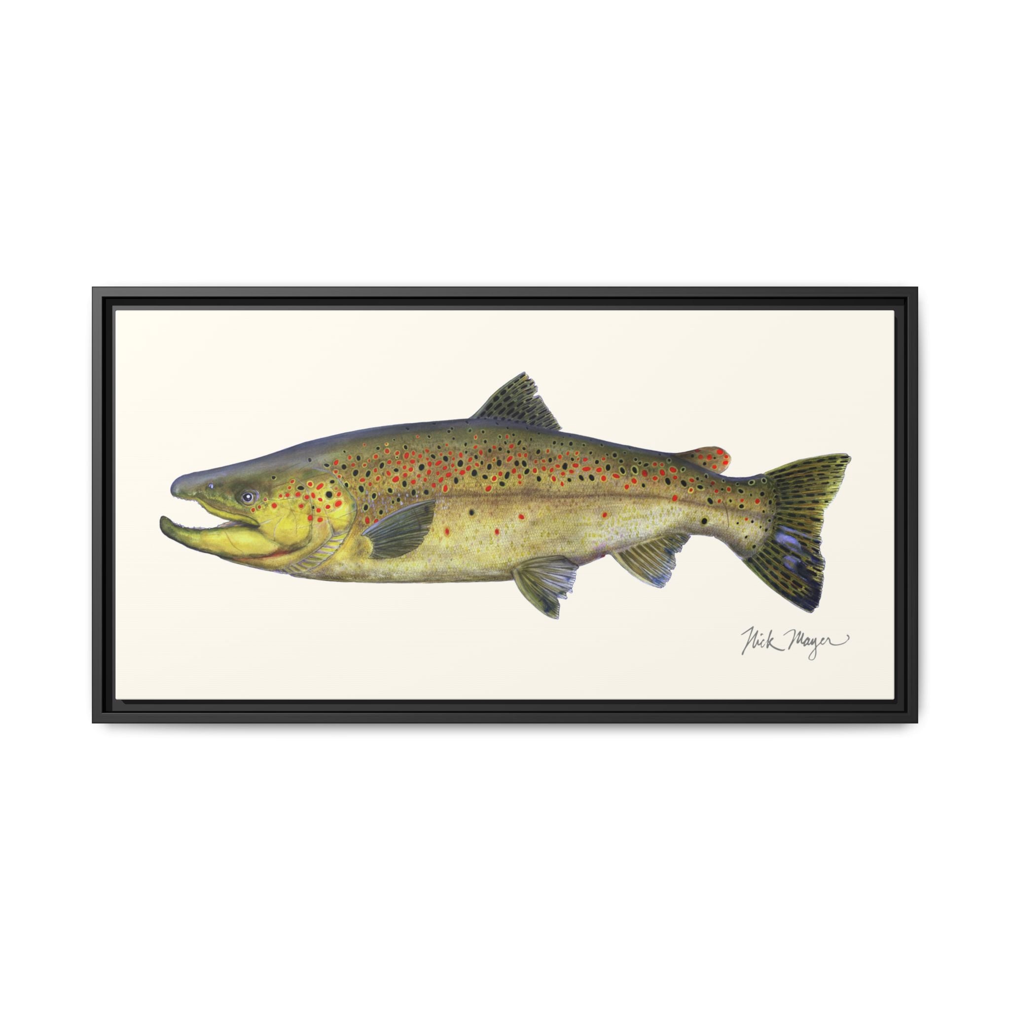 Brown Trout I Framed Canvas Print Printify